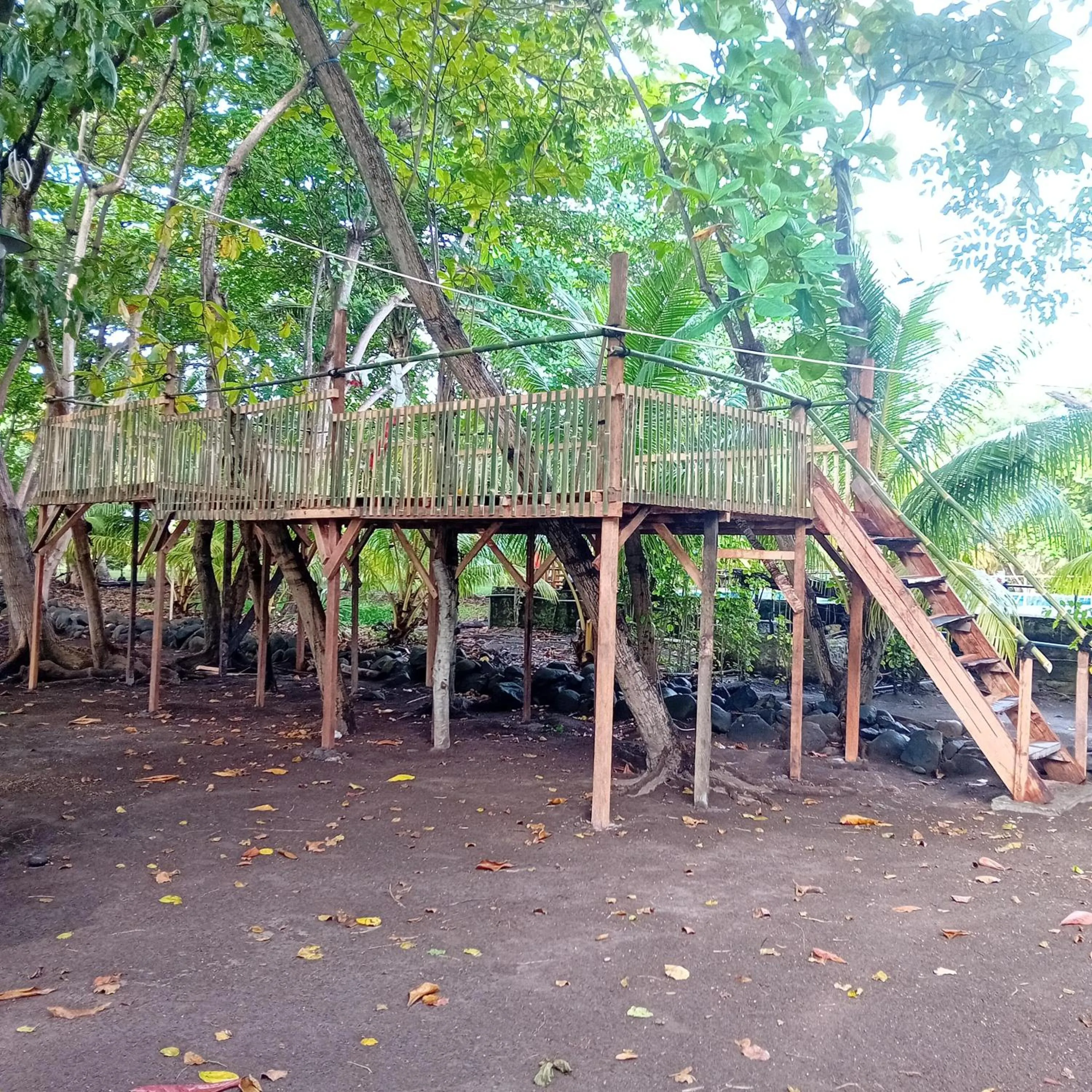 Garden in Budi Sun Resort, Flores, Maumere