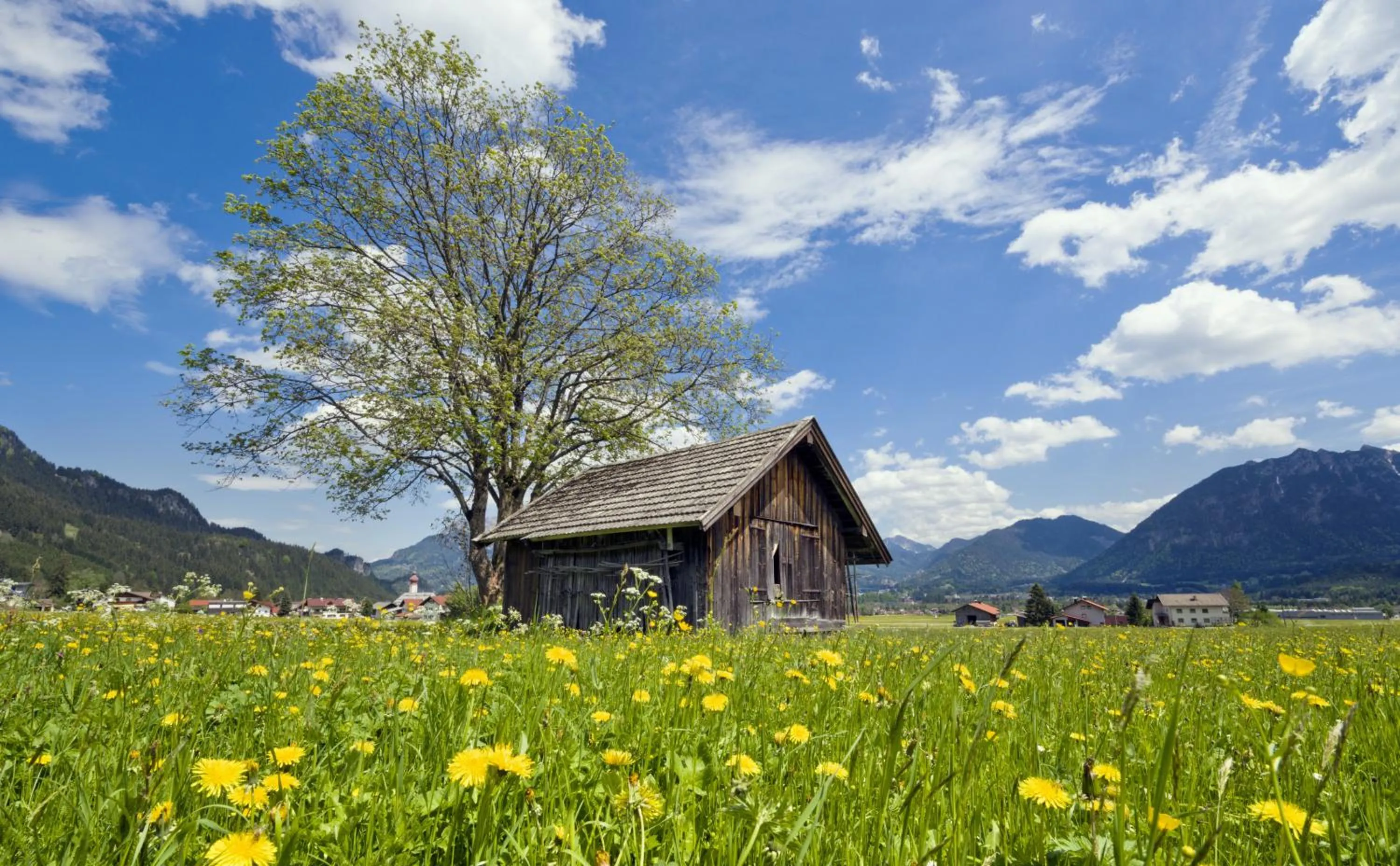 Spring in Die Lilie / Hotel Garni