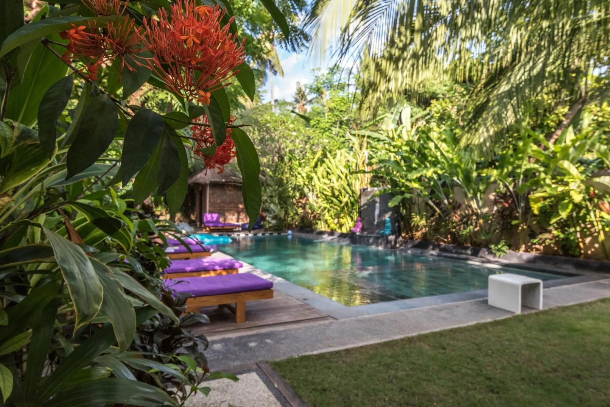 Pool view in Arjuna Homestay