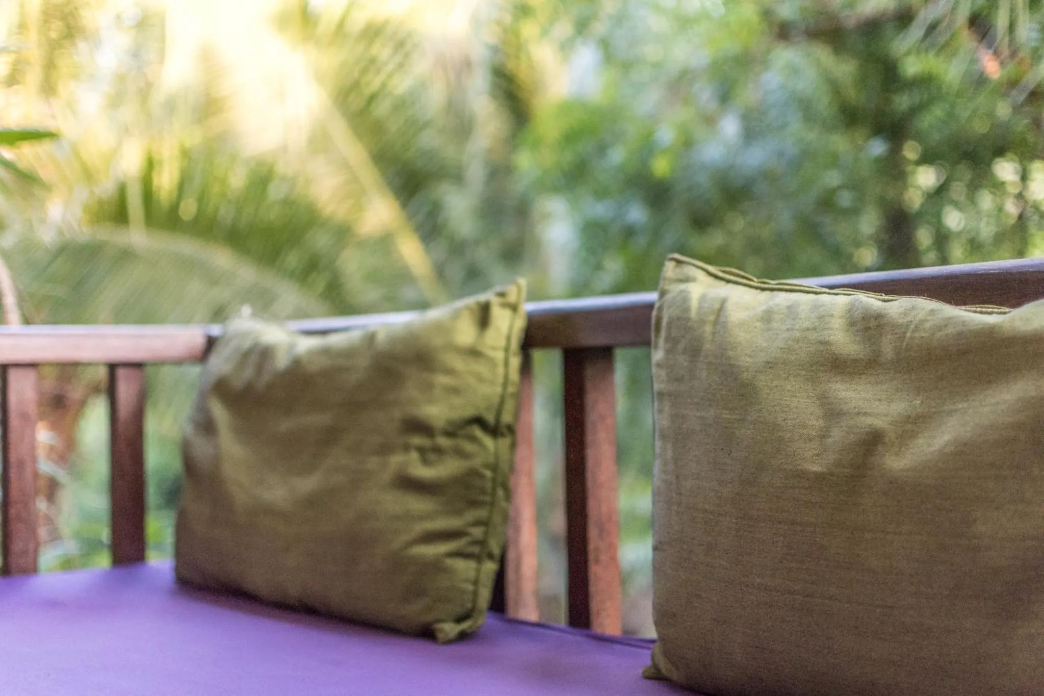 Garden view in Arjuna Homestay