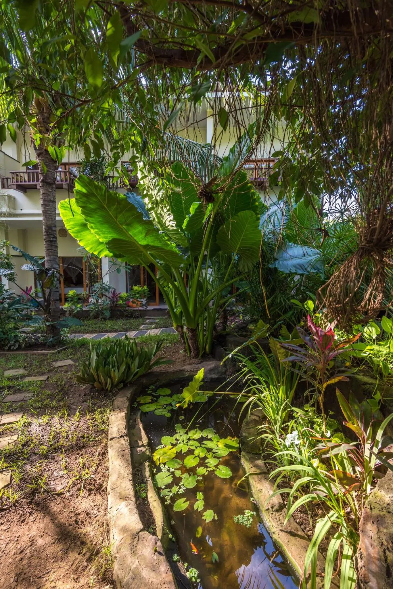 Garden in Arjuna Homestay