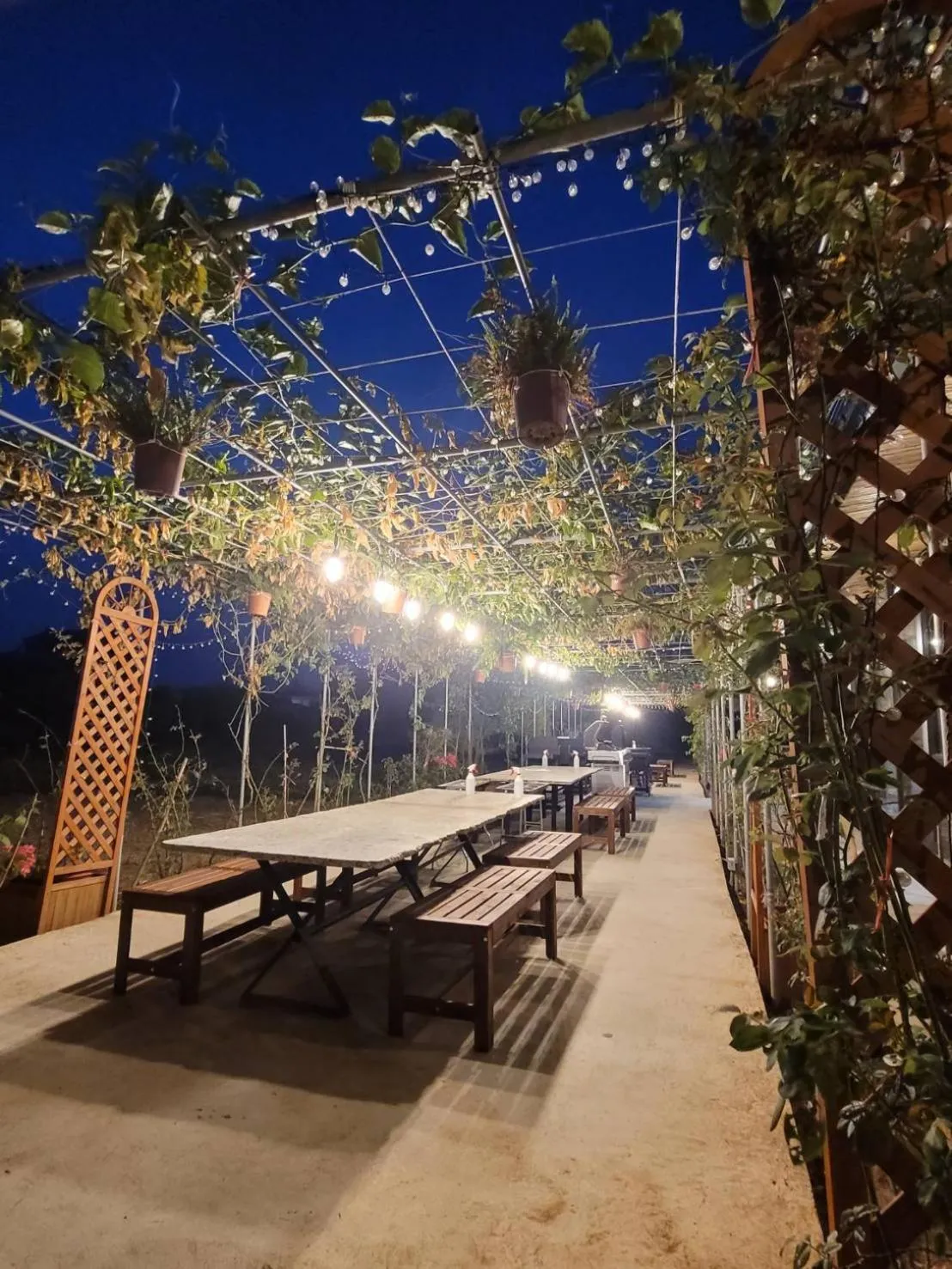 Garden in Happy Casa Resorts