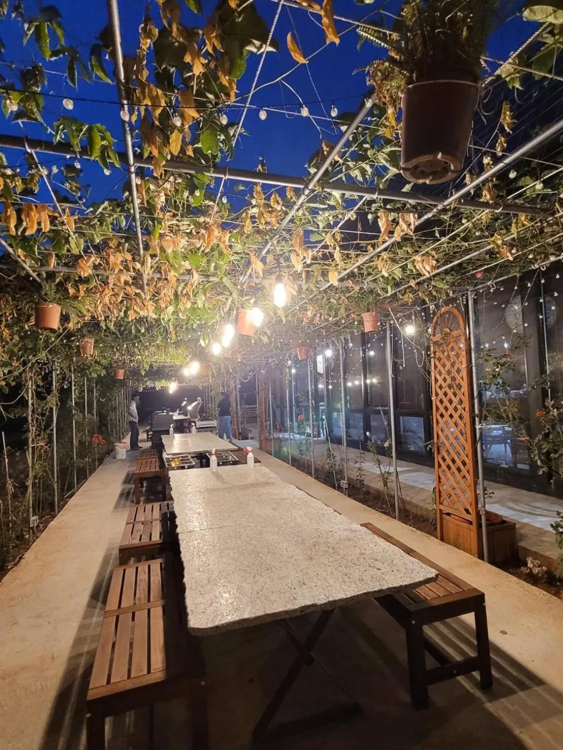 Garden in Happy Casa Resorts