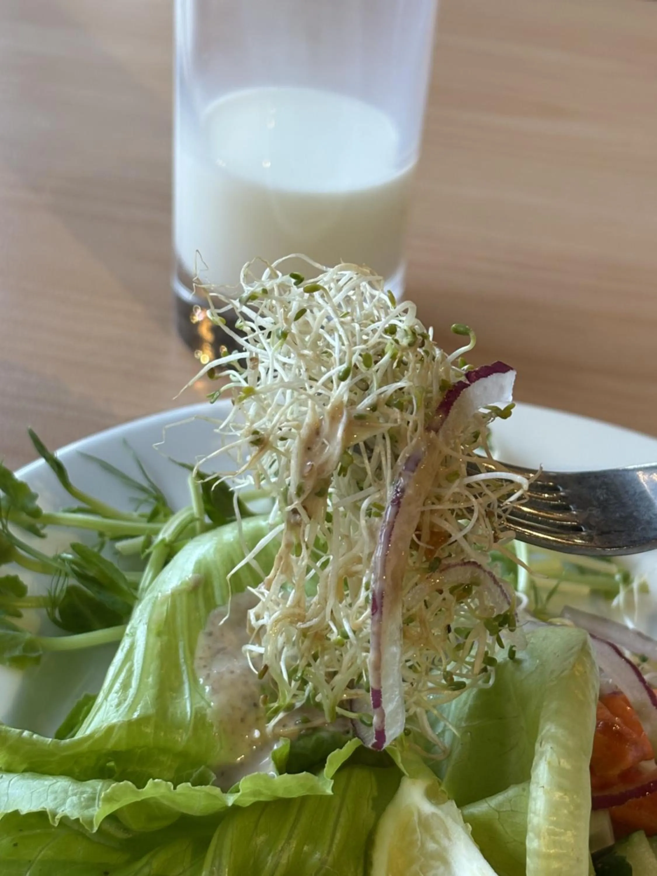 Restaurant/places to eat in Happy Casa Resorts