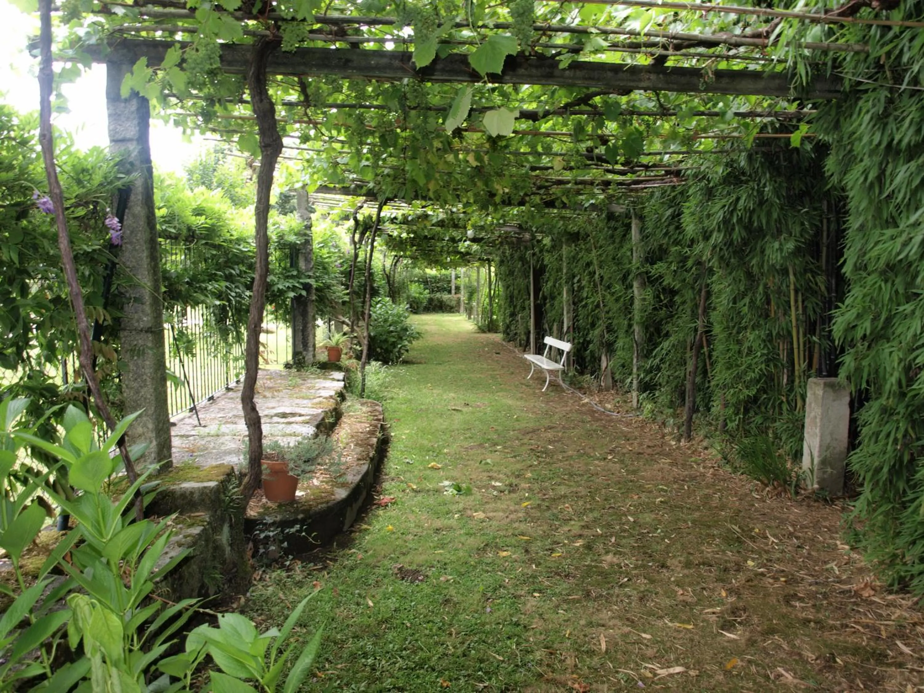 Garden in Balneario Hotel Dávila