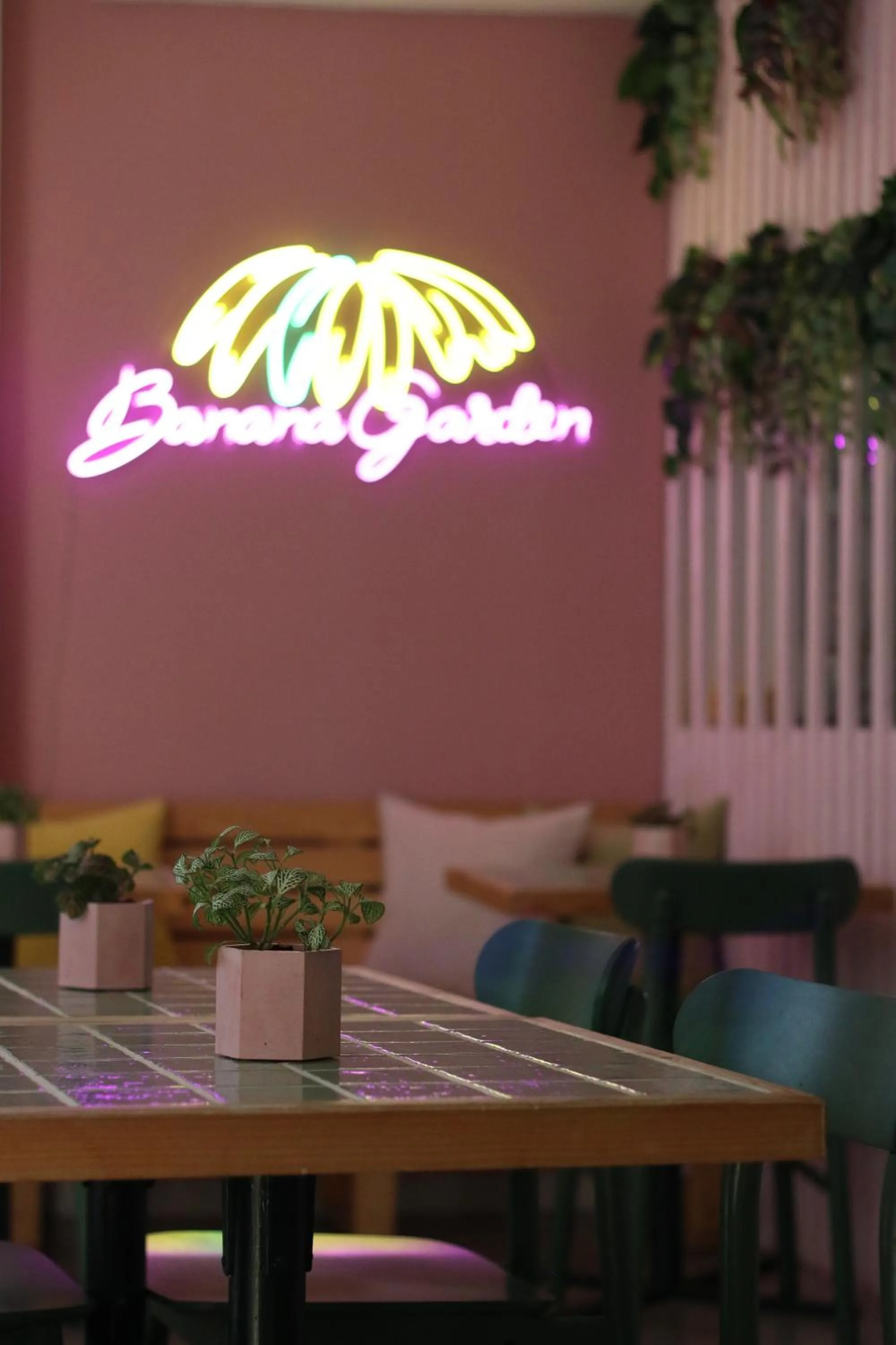 Lobby or reception in Banana Garden La Palma