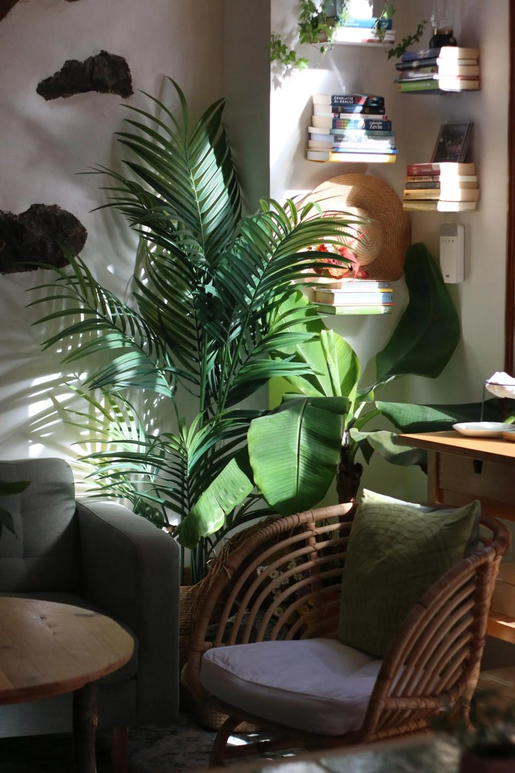 Lobby or reception in Banana Garden La Palma