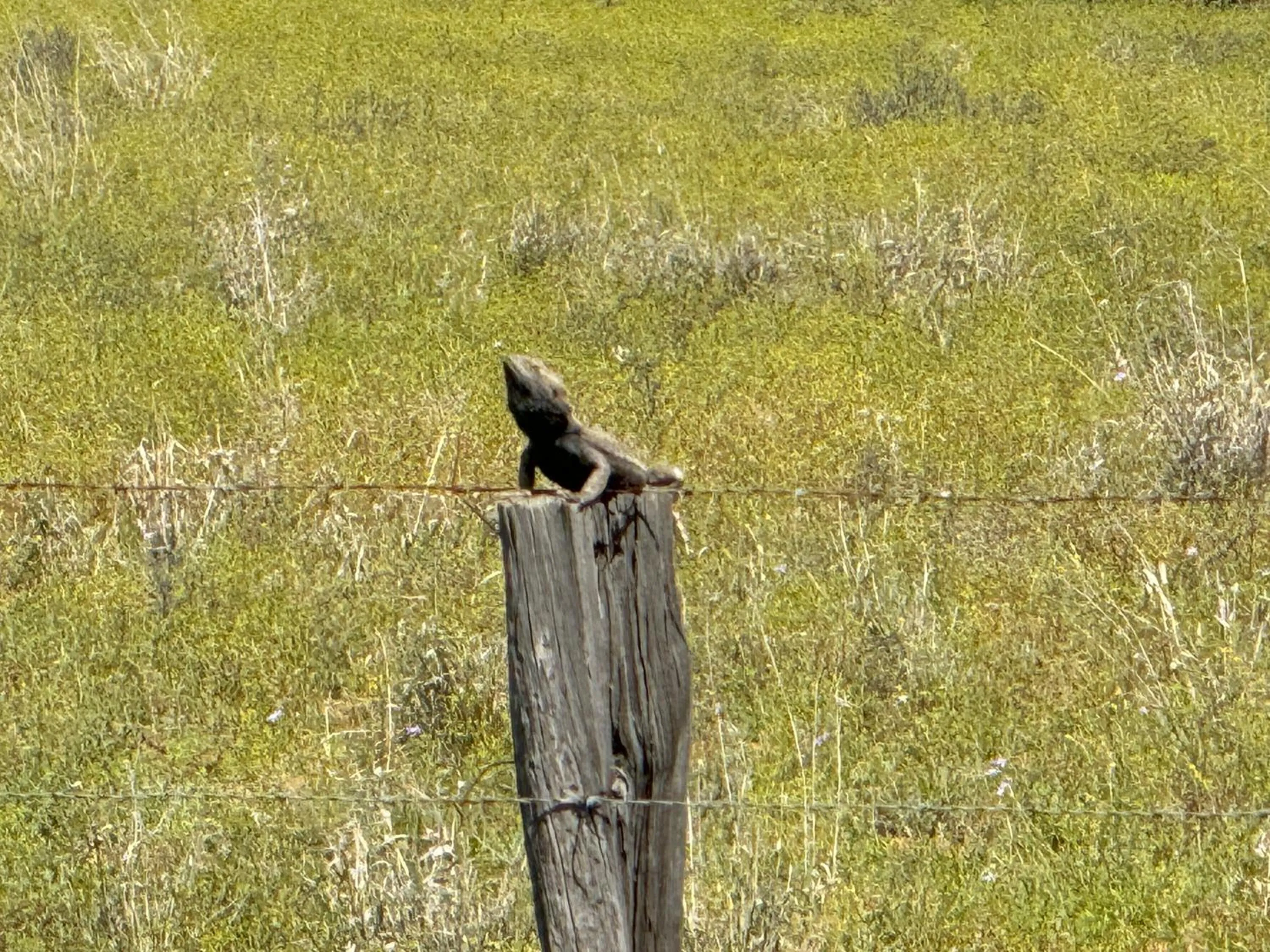 Off site in Club Boutique Hotel Cunnamulla