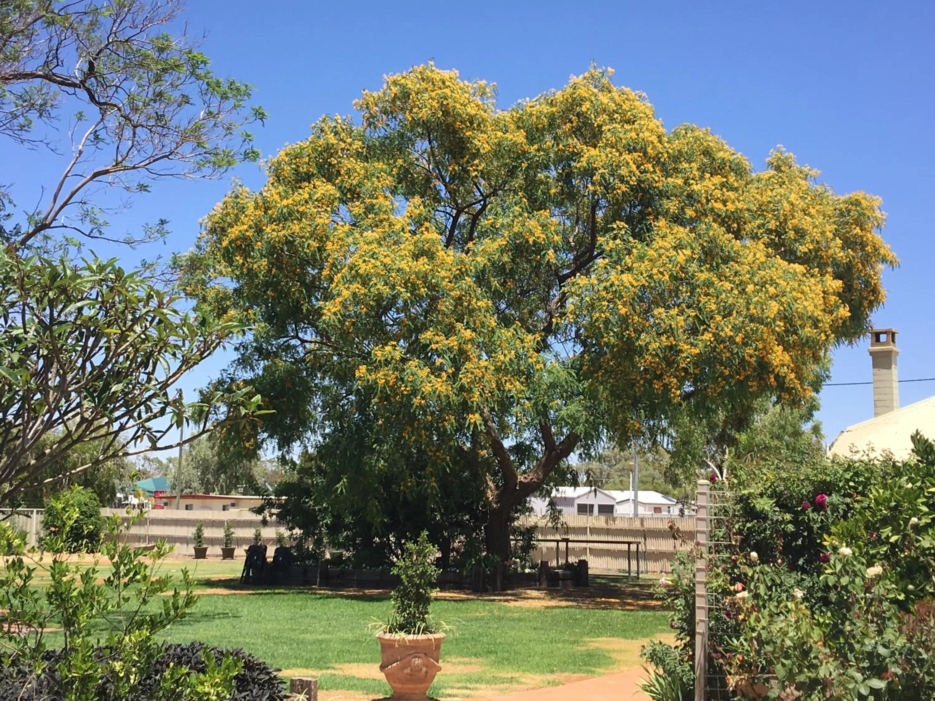 Garden in Club Boutique Hotel Cunnamulla