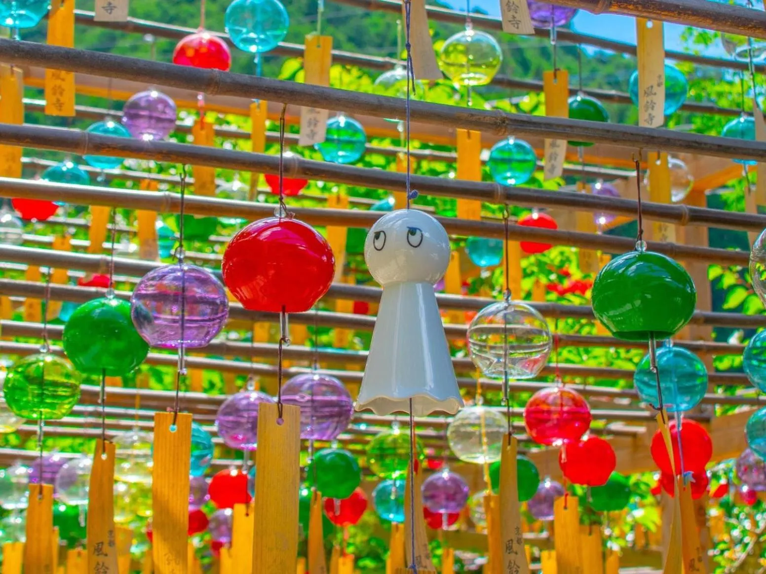 Summer in Sun Members Kyoto Saga