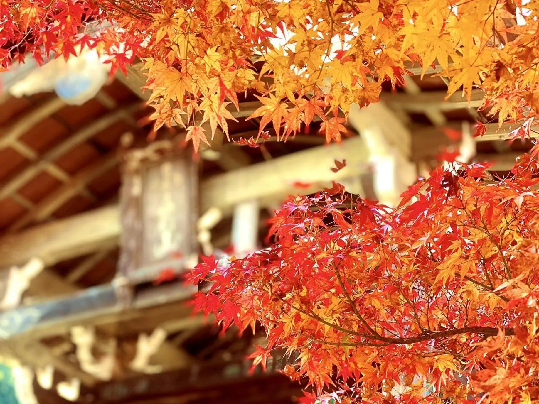 Off site in Sun Members Kyoto Saga