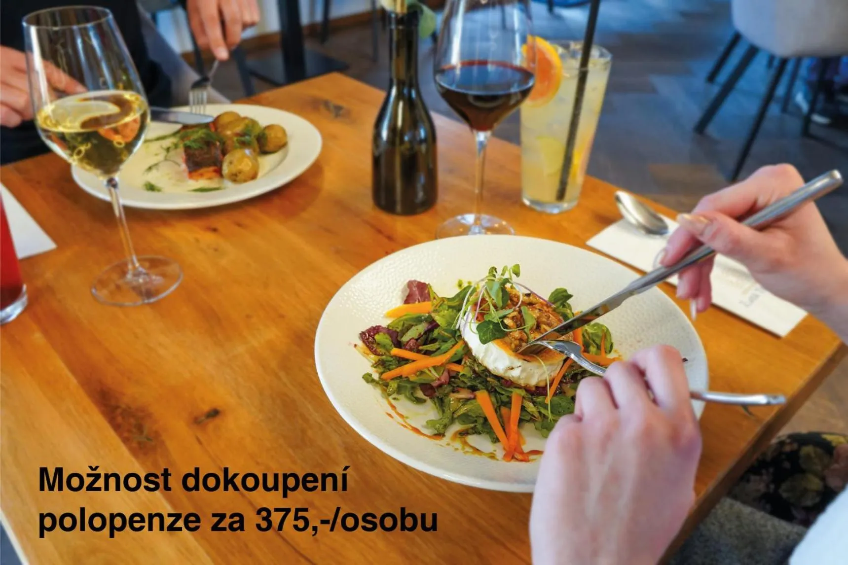 Superior Double Room in Zámecký Hotel ANTON FLORIAN