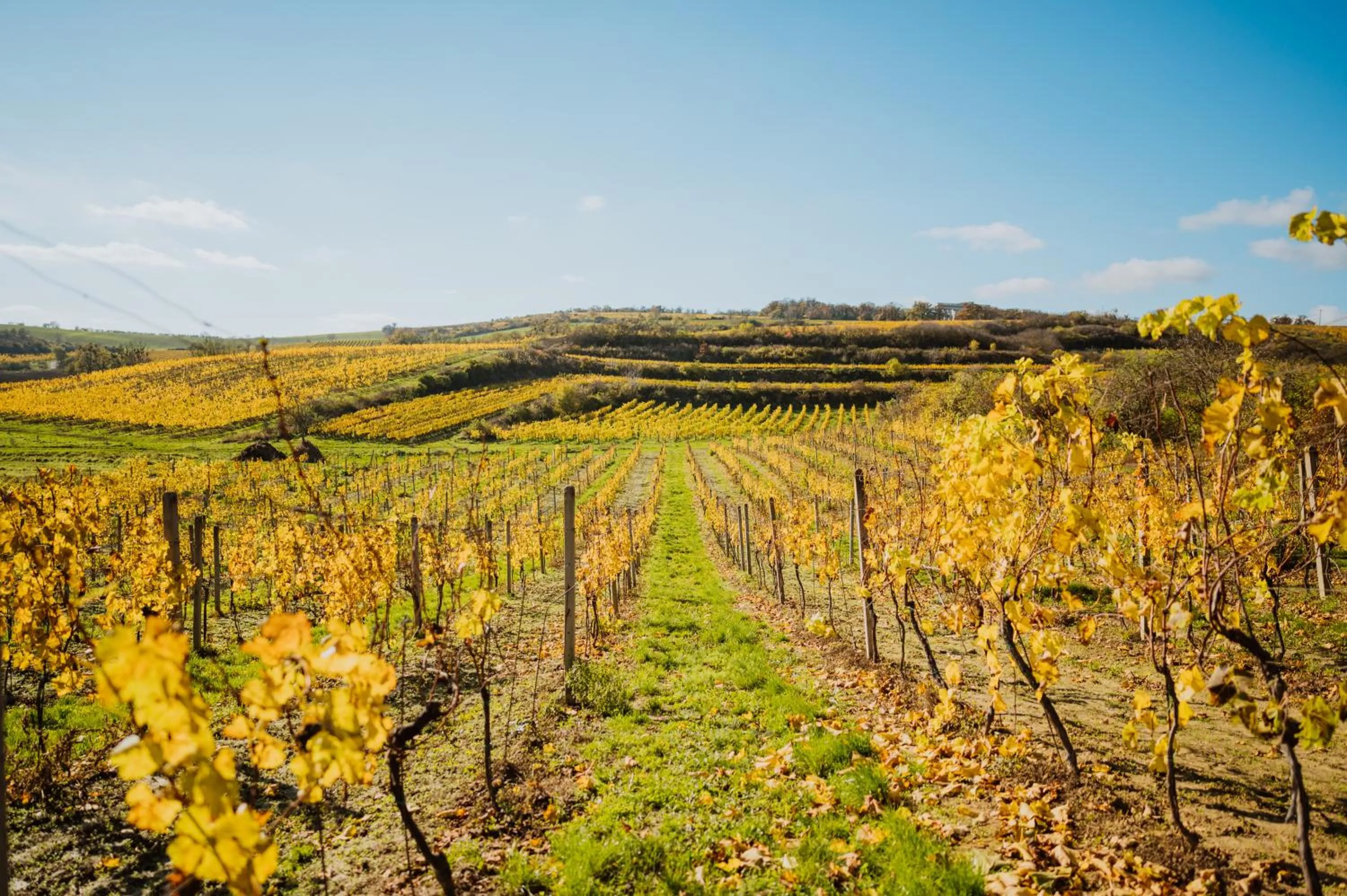 Natural landscape in Zámecký Hotel ANTON FLORIAN