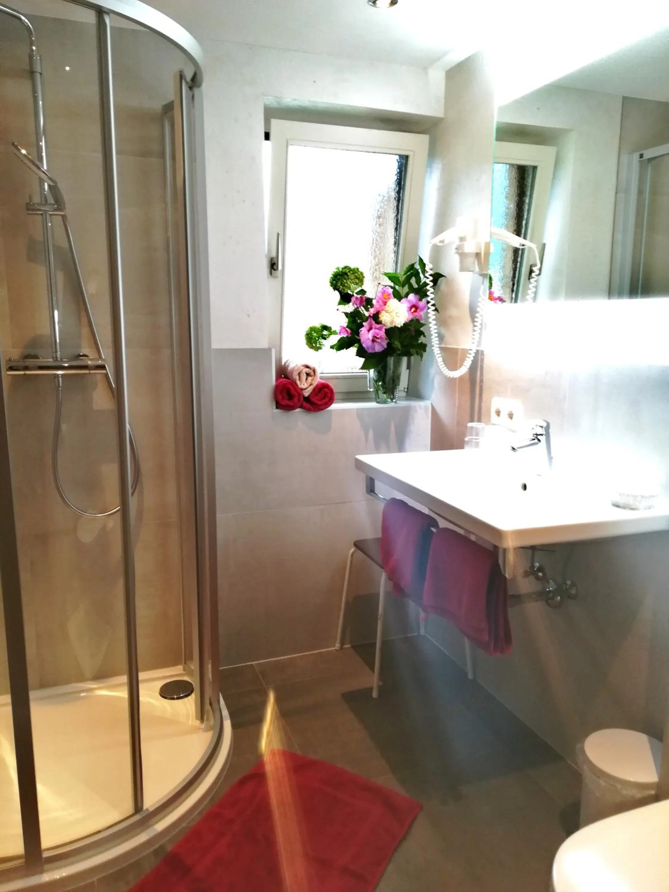 Shower in Apart Austria