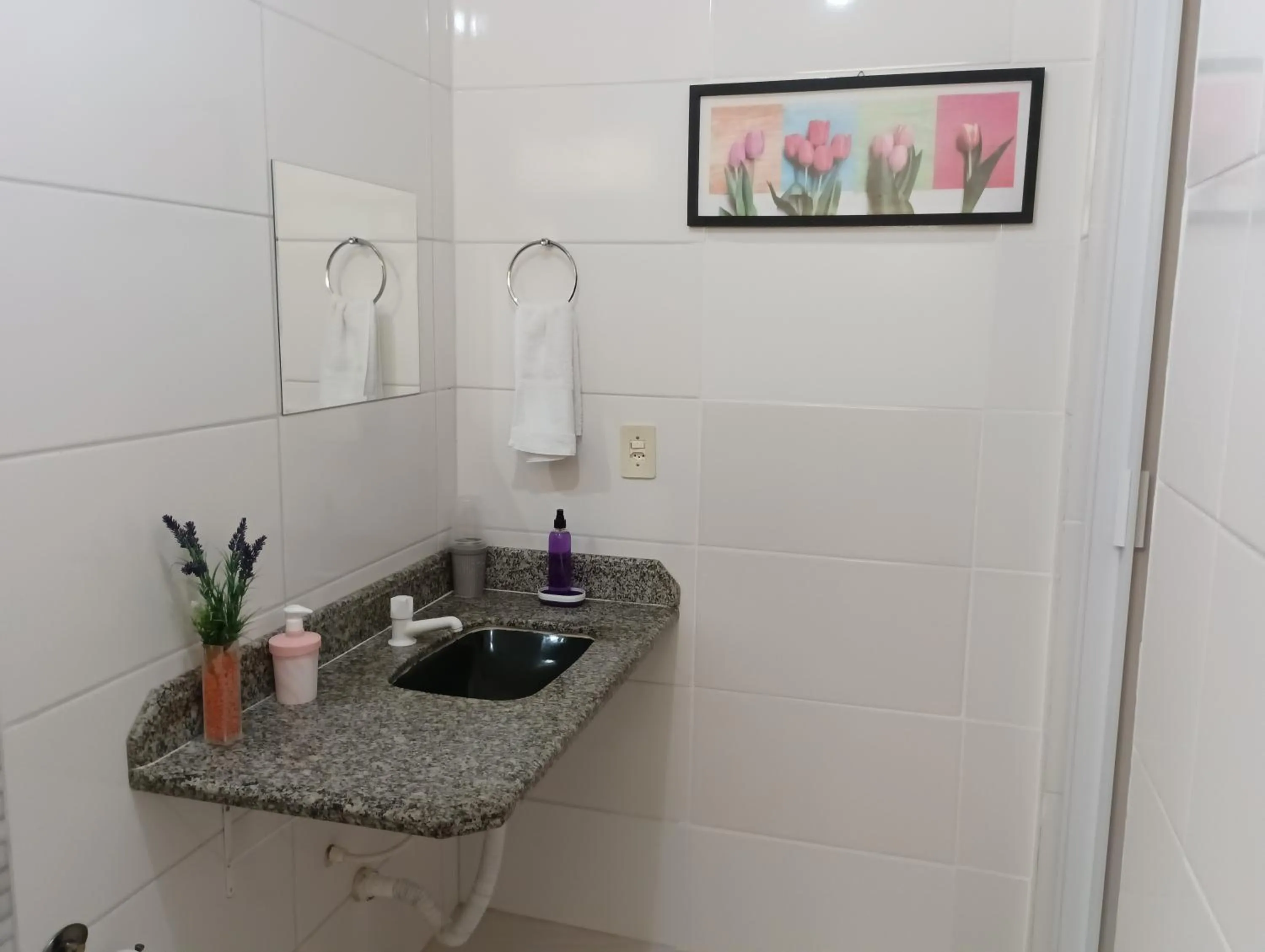 Toilet in Pousada Executiva SolRiso Aeroporto Florianópolis