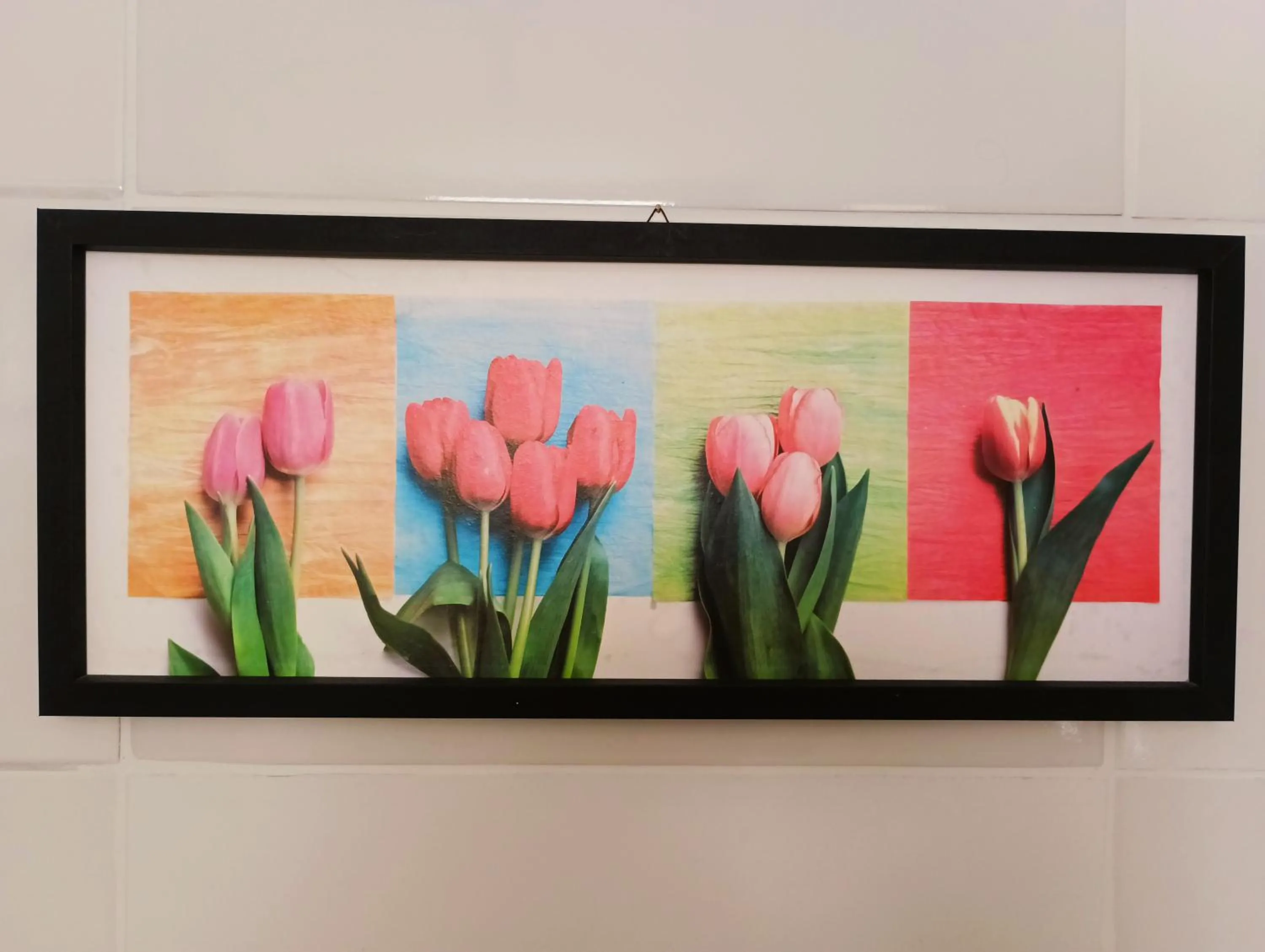 View (from property/room) in Pousada Executiva SolRiso Aeroporto Florianópolis