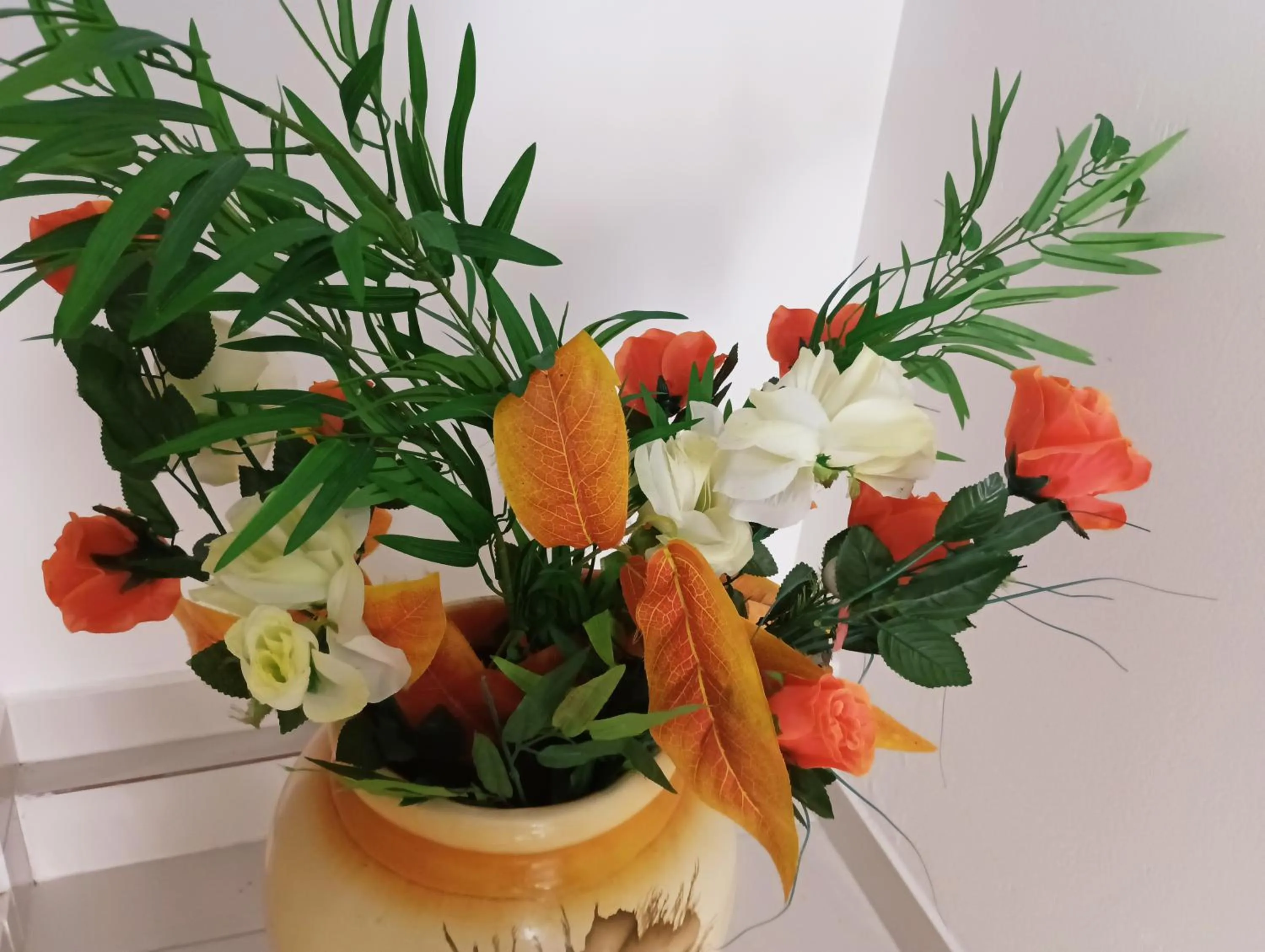 Garden in Pousada Executiva SolRiso Aeroporto Florianópolis