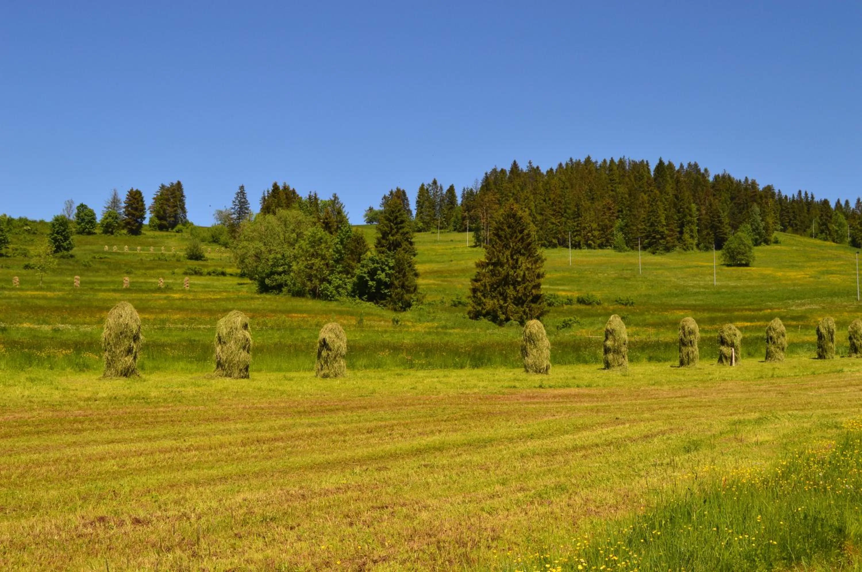 Natural landscape in Montenero Resort&Spa