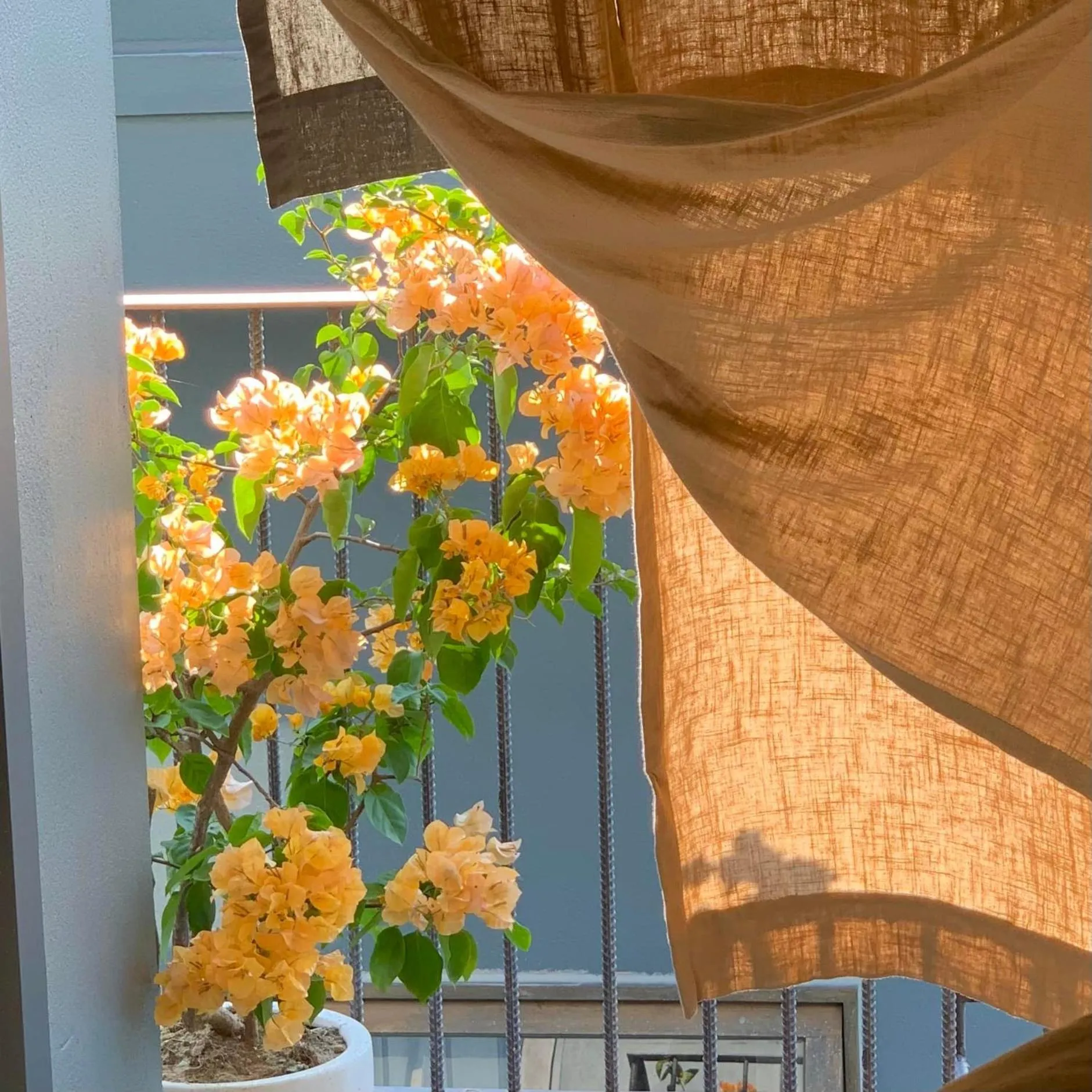 Balcony/Terrace in Kaia Gallery Hotel Hoi An