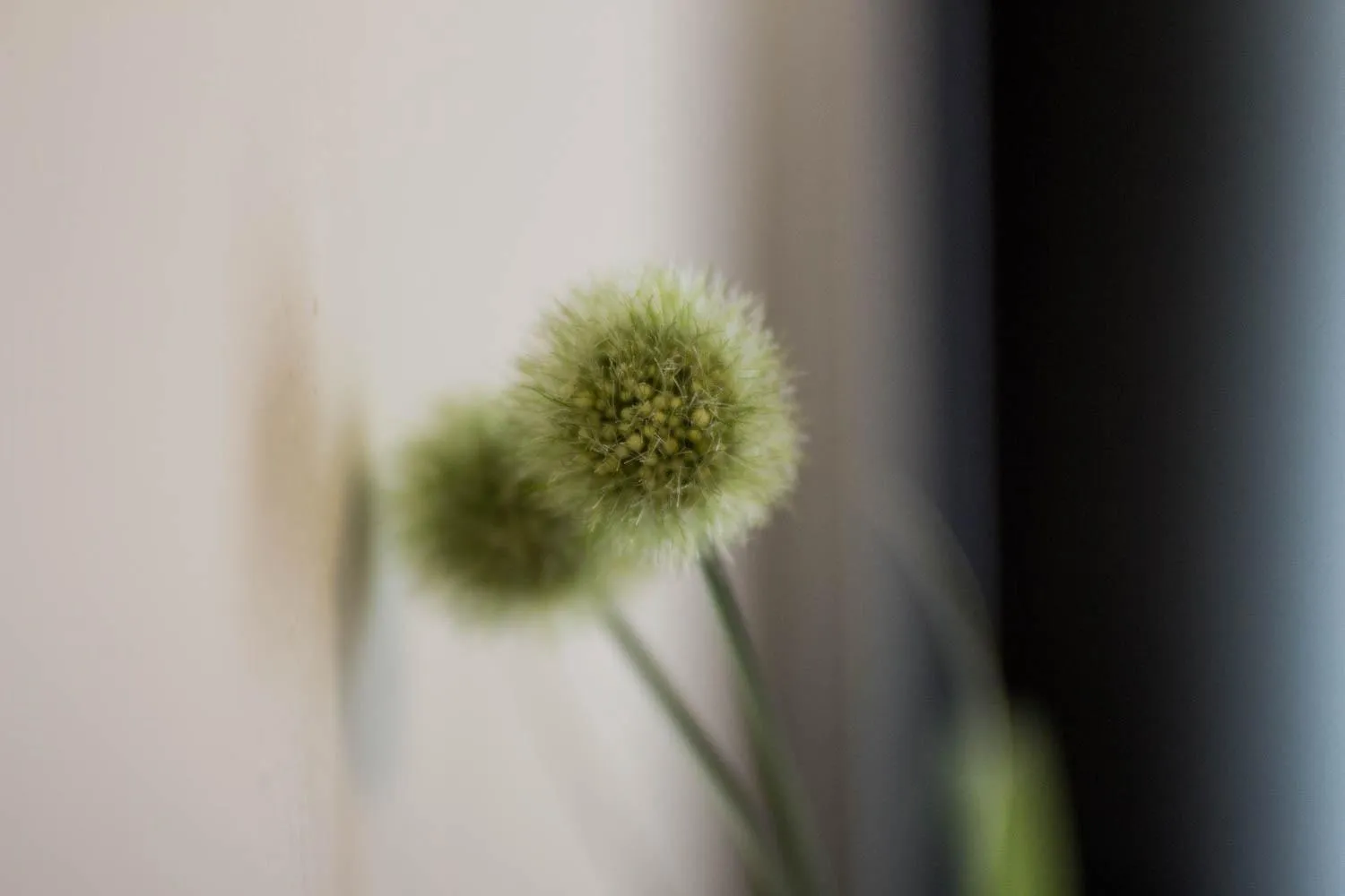 Area and facilities in Pension Gstrein