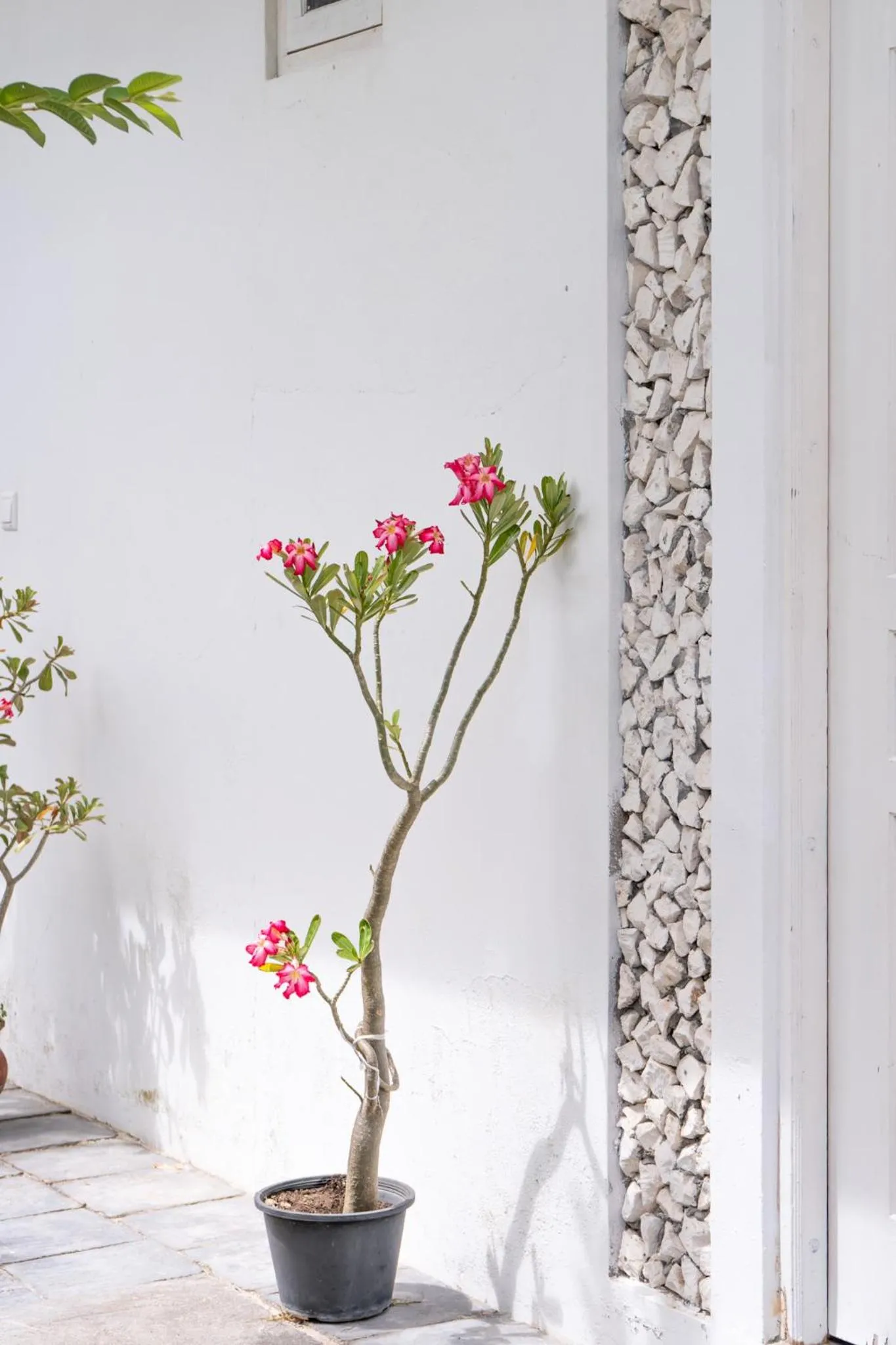 Vaali Maldives Island Escapes & Dive