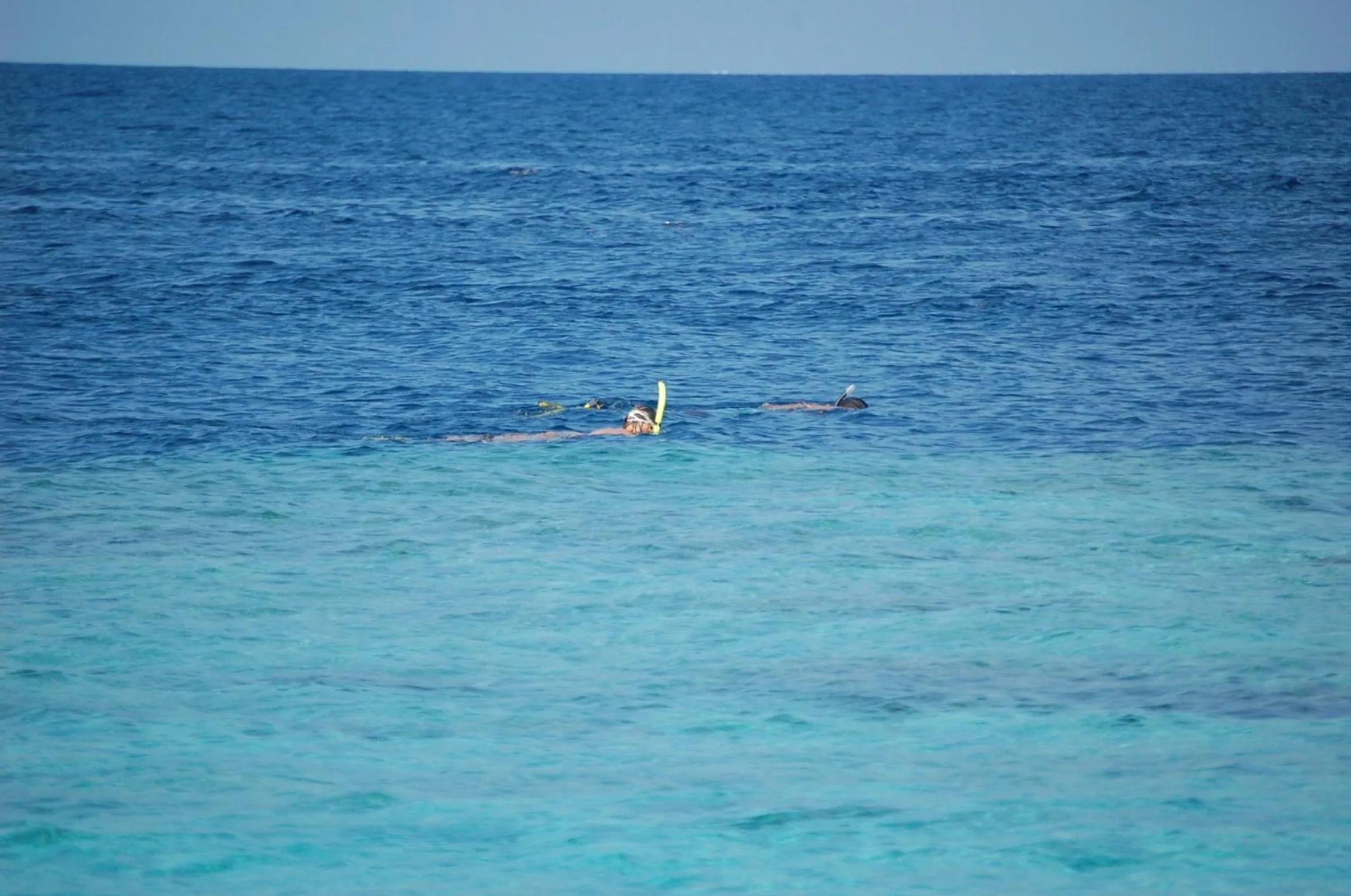 Natural landscape in Vaali Maldives Island Escapes & Dive