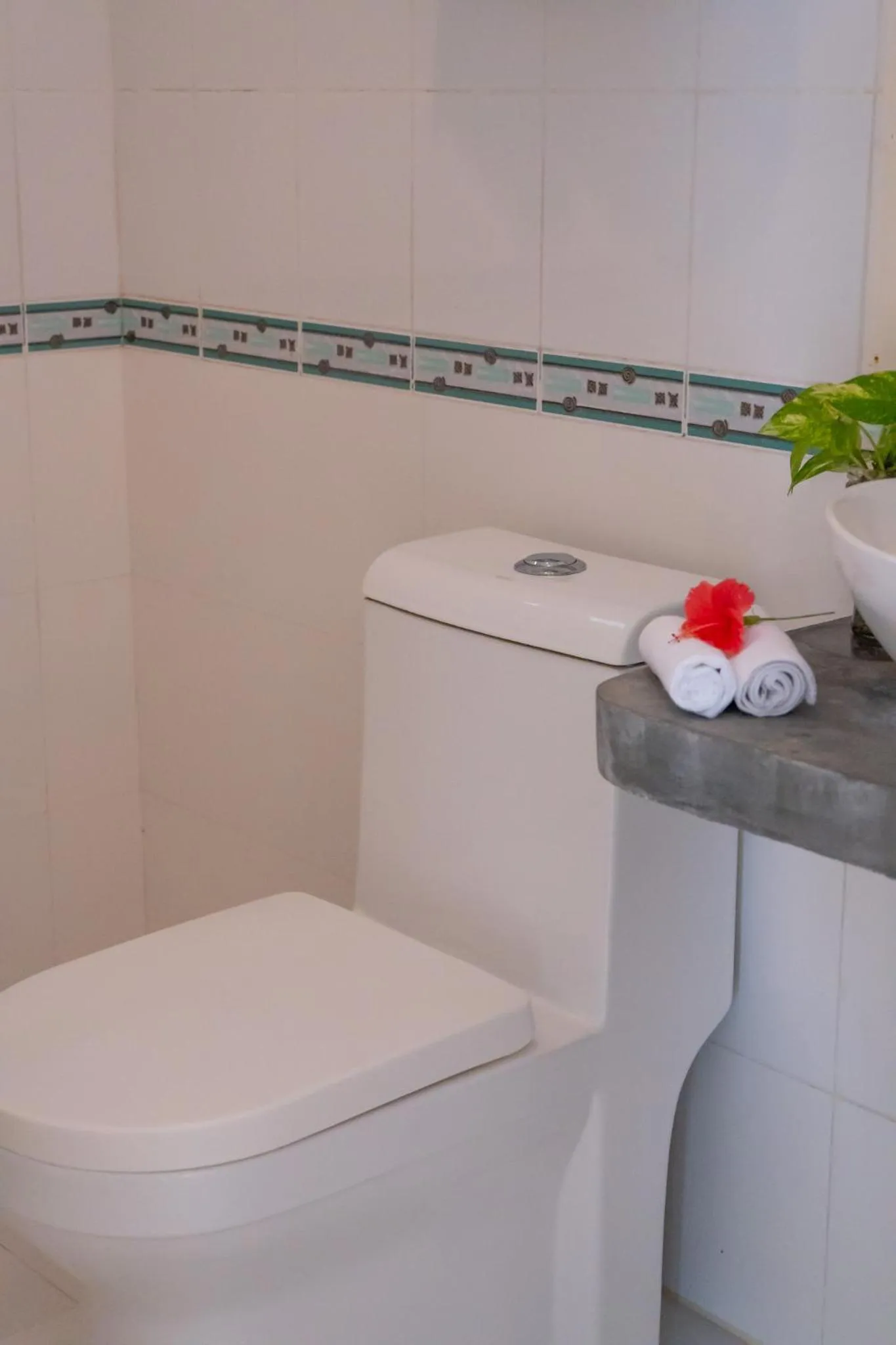 Vaali Maldives Island Escapes & Dive