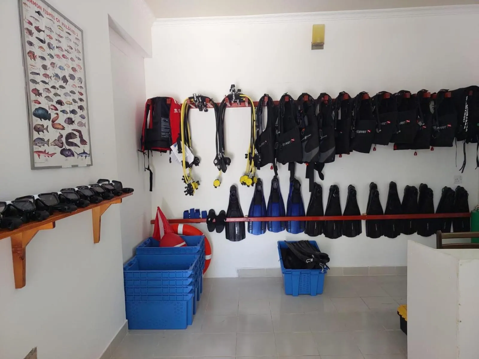 Vaali Maldives Island Escapes & Dive