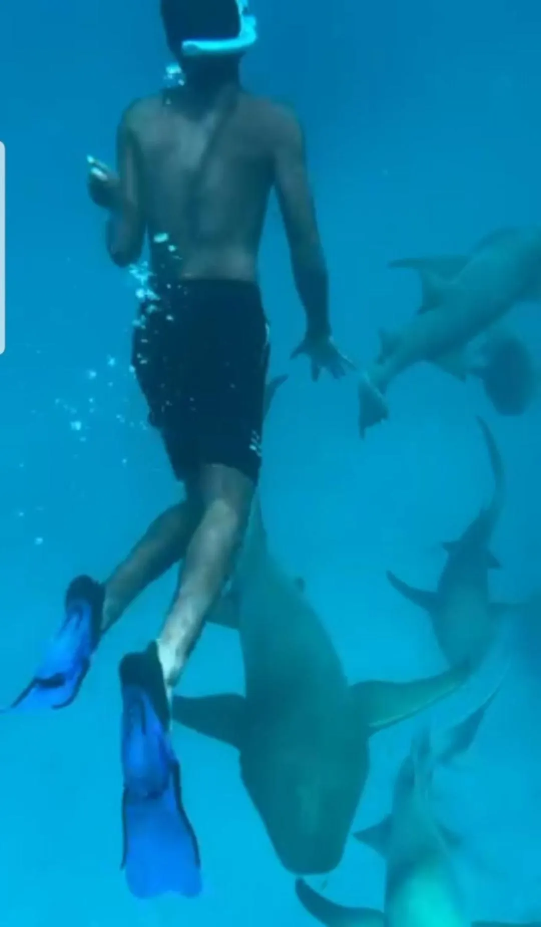 Vaali Maldives Island Escapes & Dive