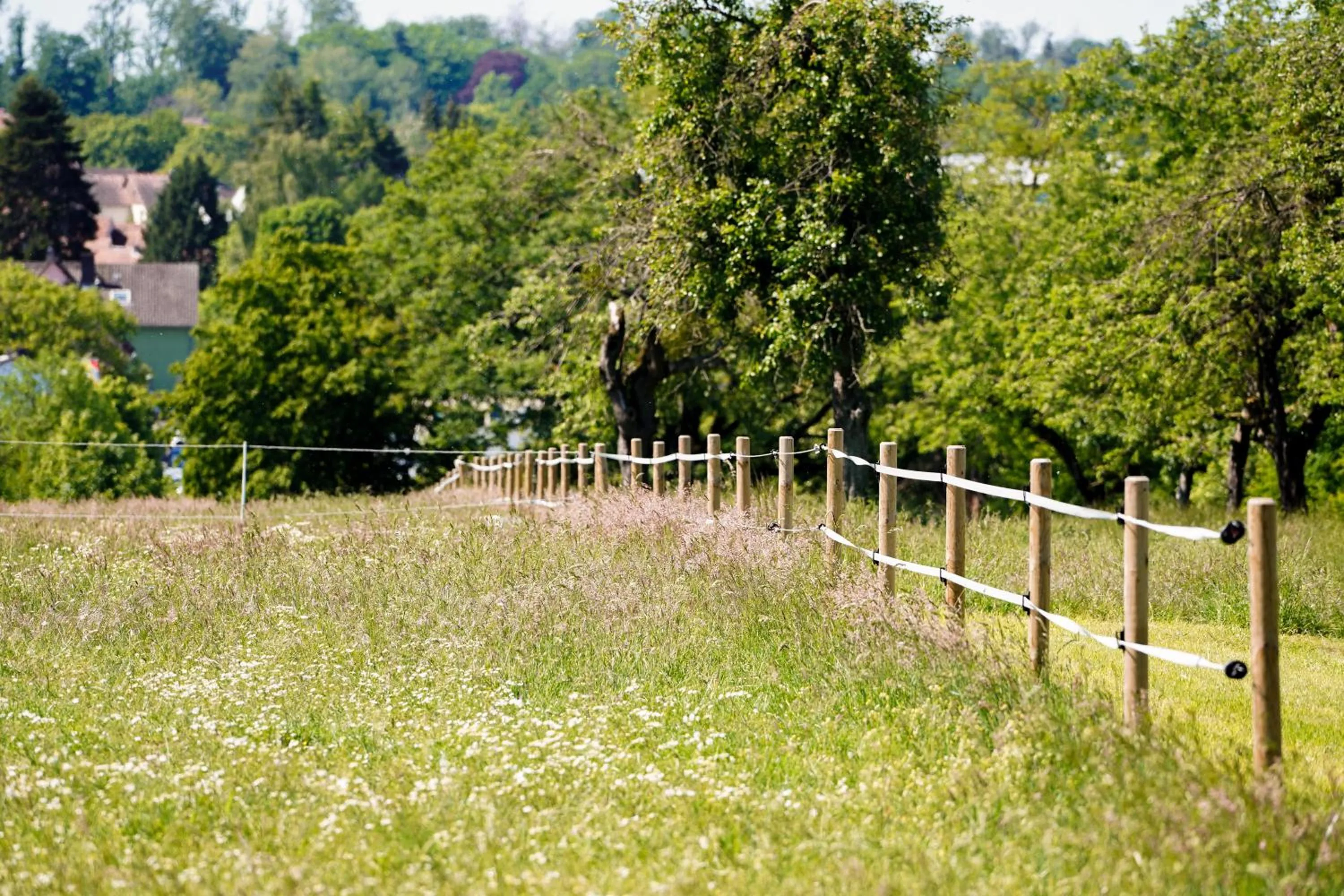 Spring in Frühstückspension Christinenhof