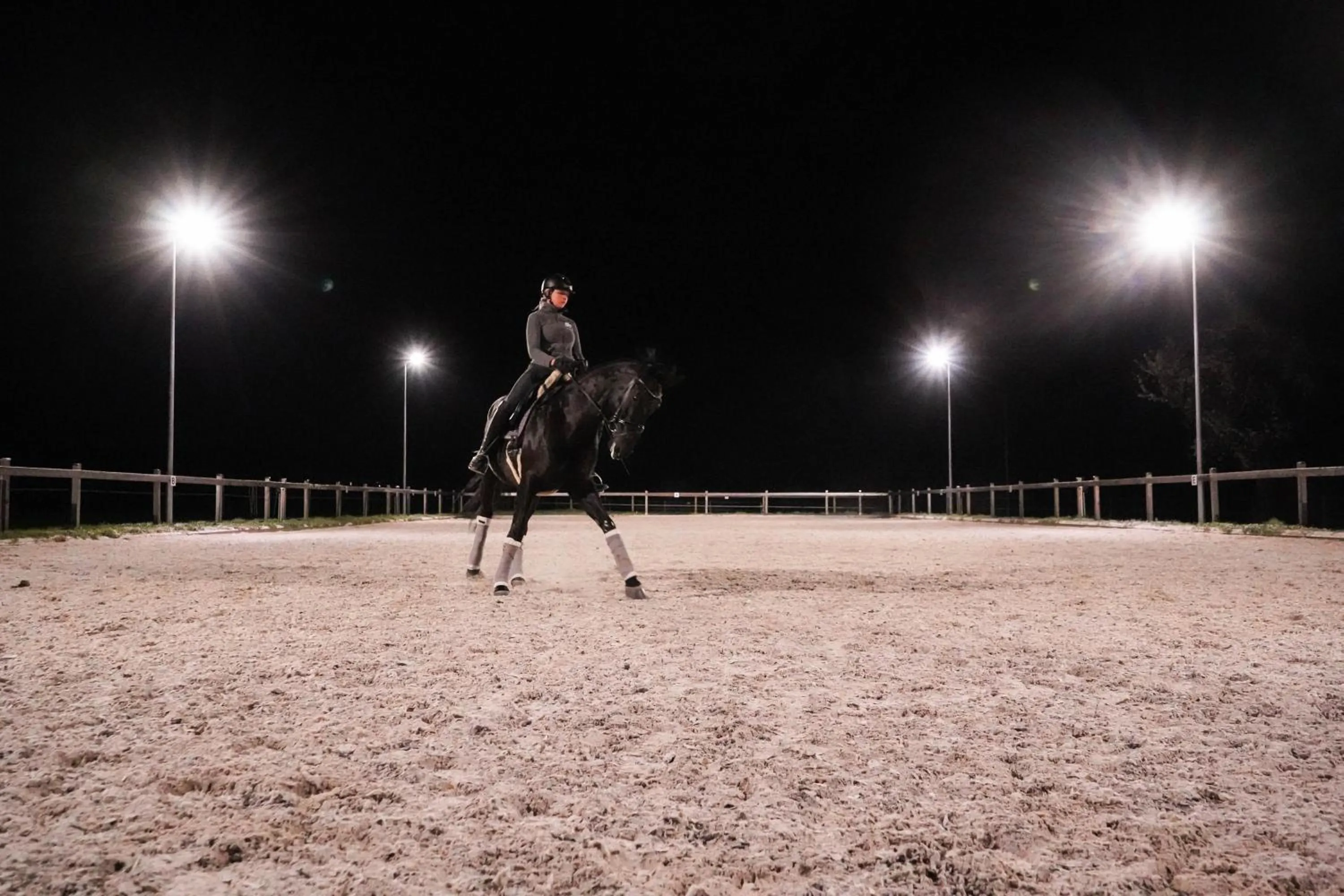 Animals in Frühstückspension Christinenhof