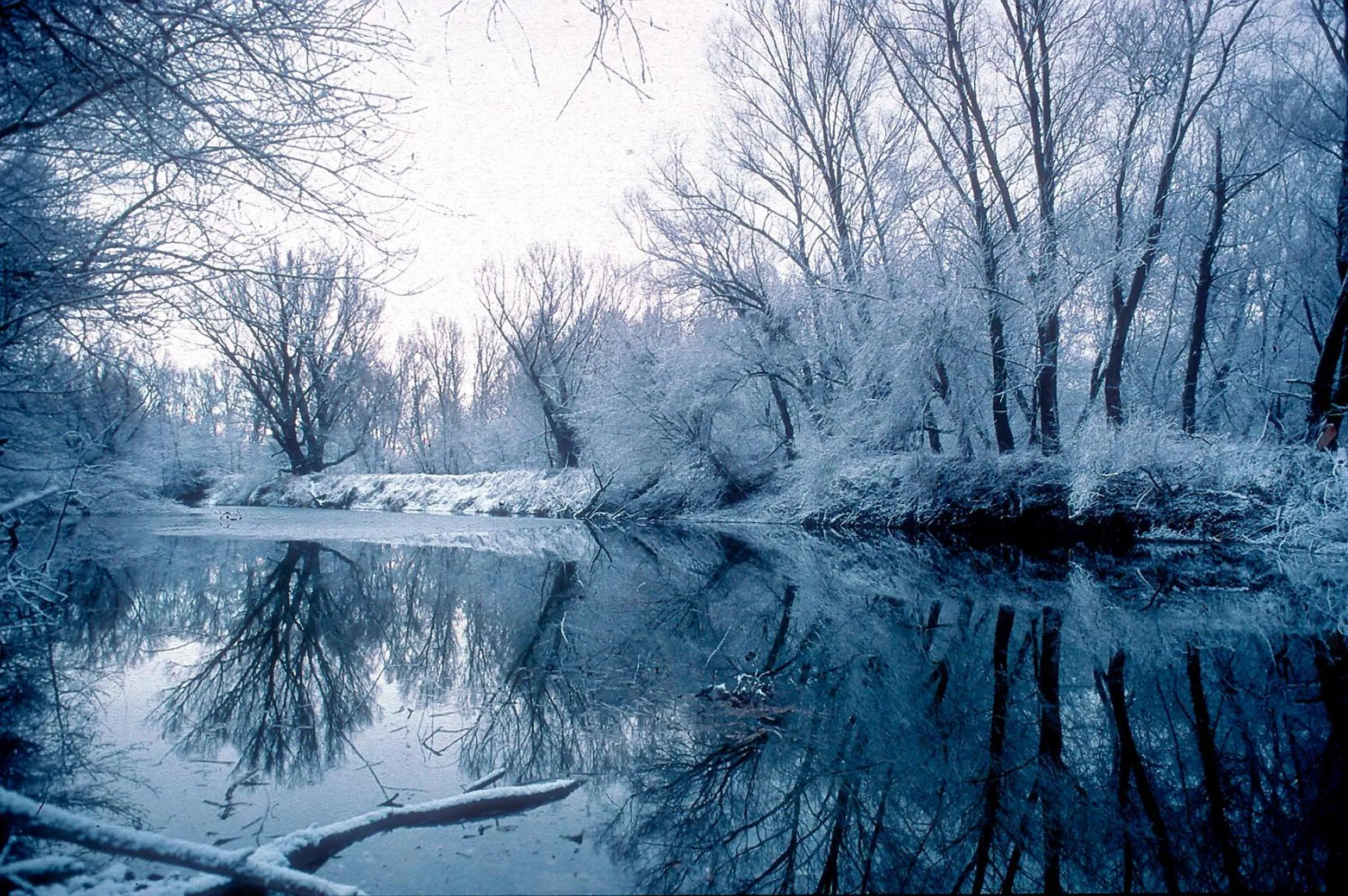 Area and facilities in Landhotel Wachau - Hotel Garni