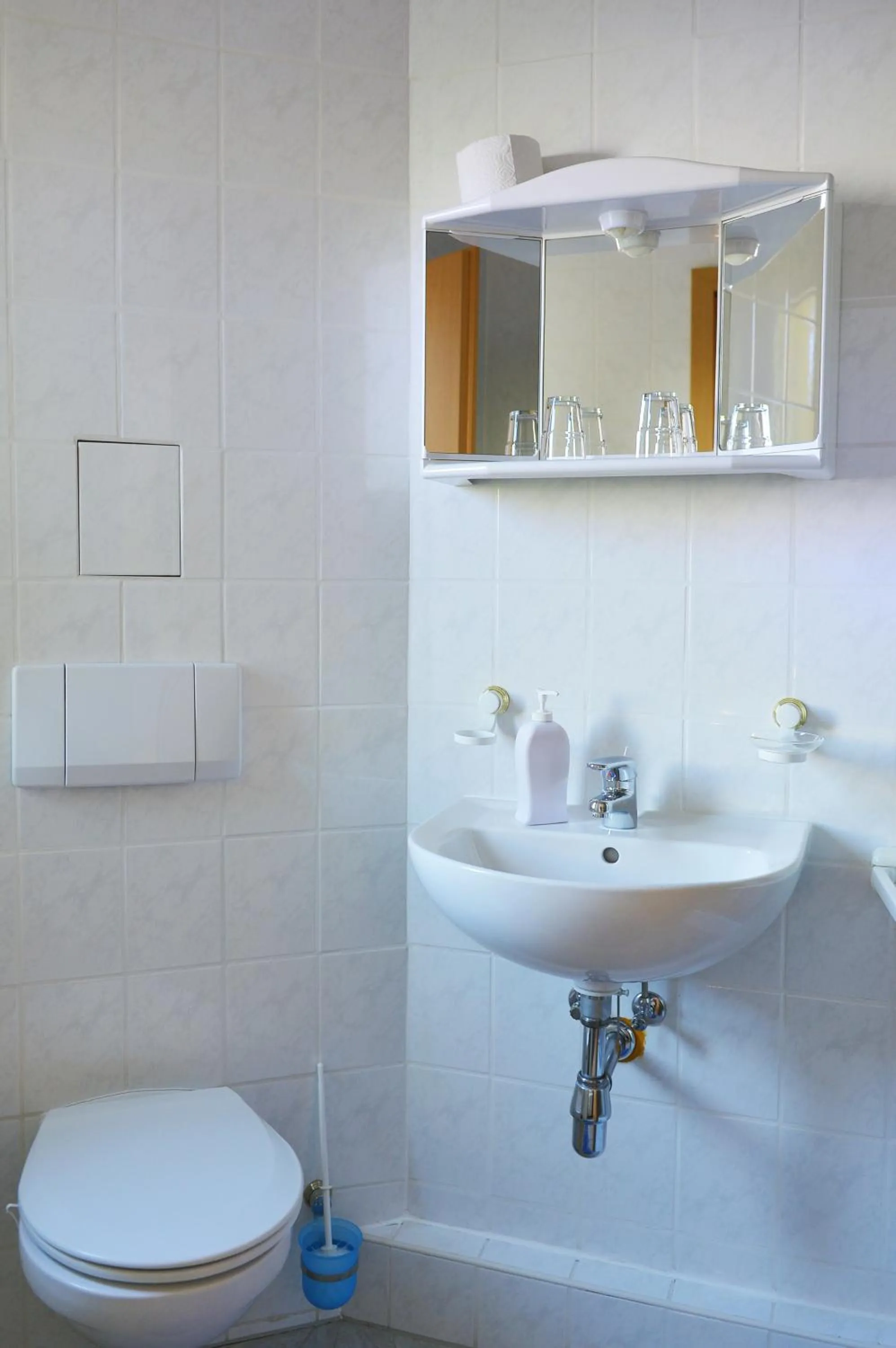 Toilet in Pension Damköhler Thale OT Westerhausen