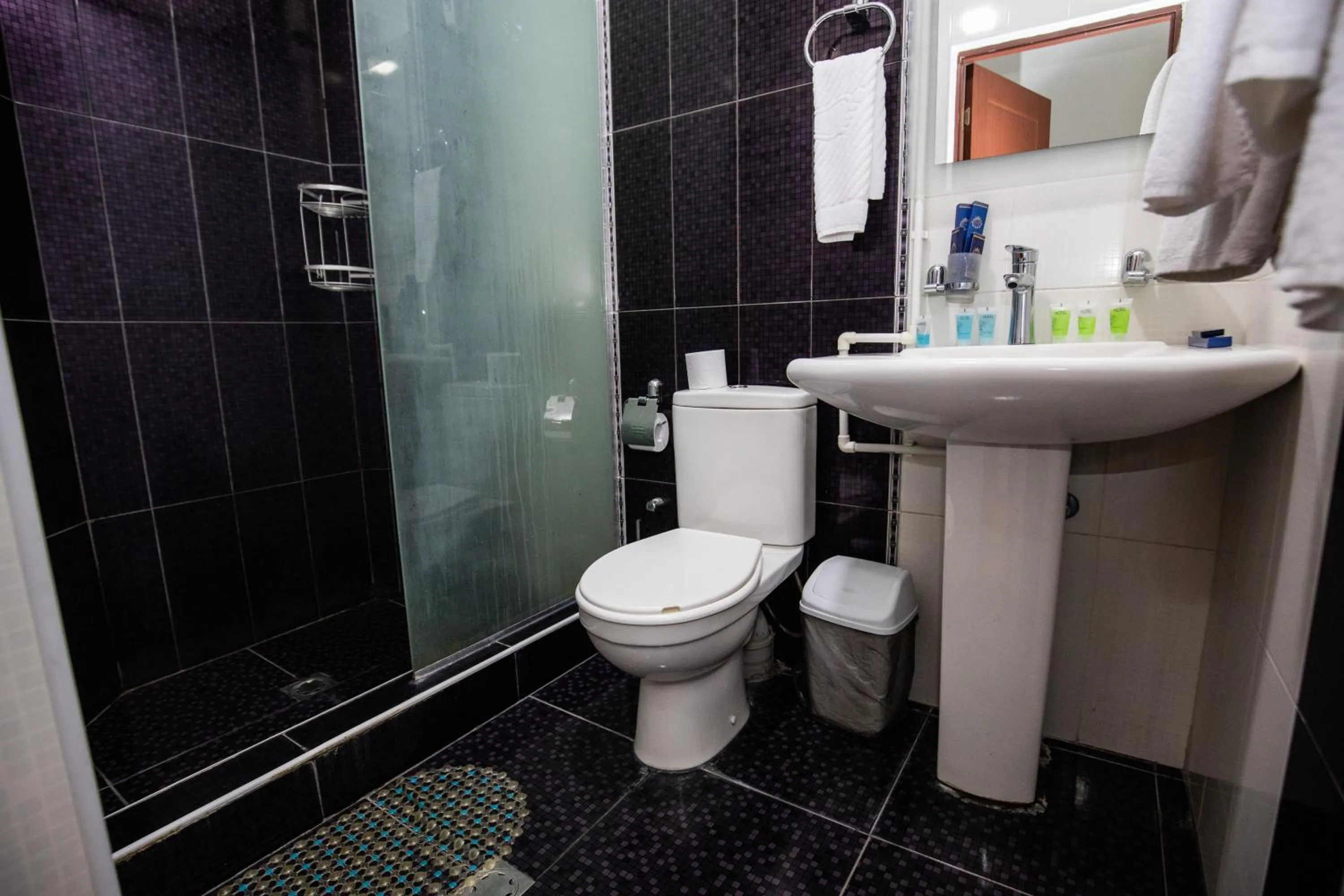Toilet in Hotel Tigran Mets Yerevan