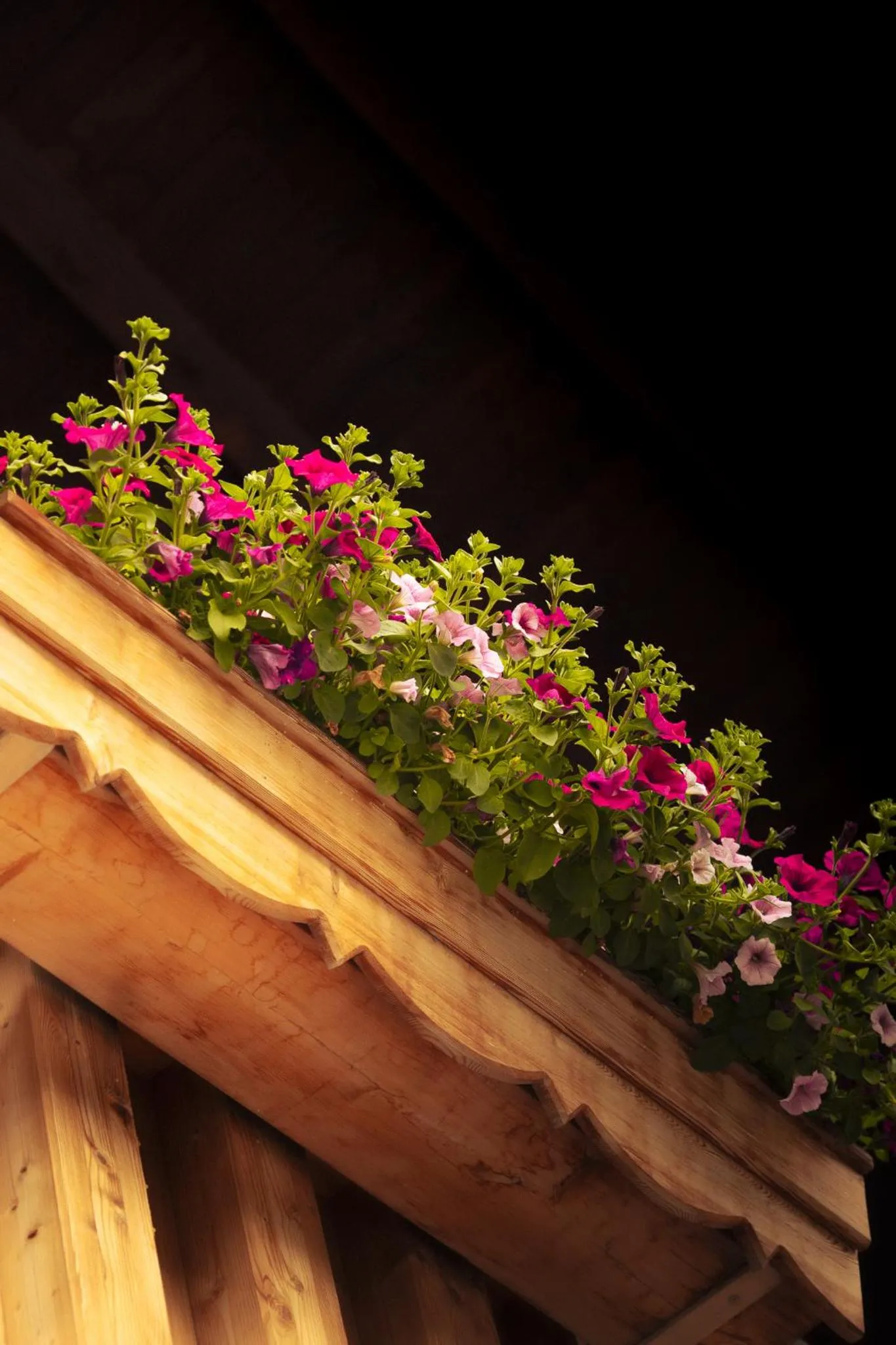 Balcony/Terrace in Hotel Kögele bei Innsbruck Axamer Lizum