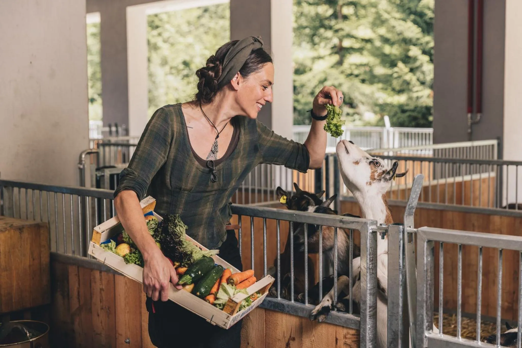 Animals in Hotel Klosterbräu