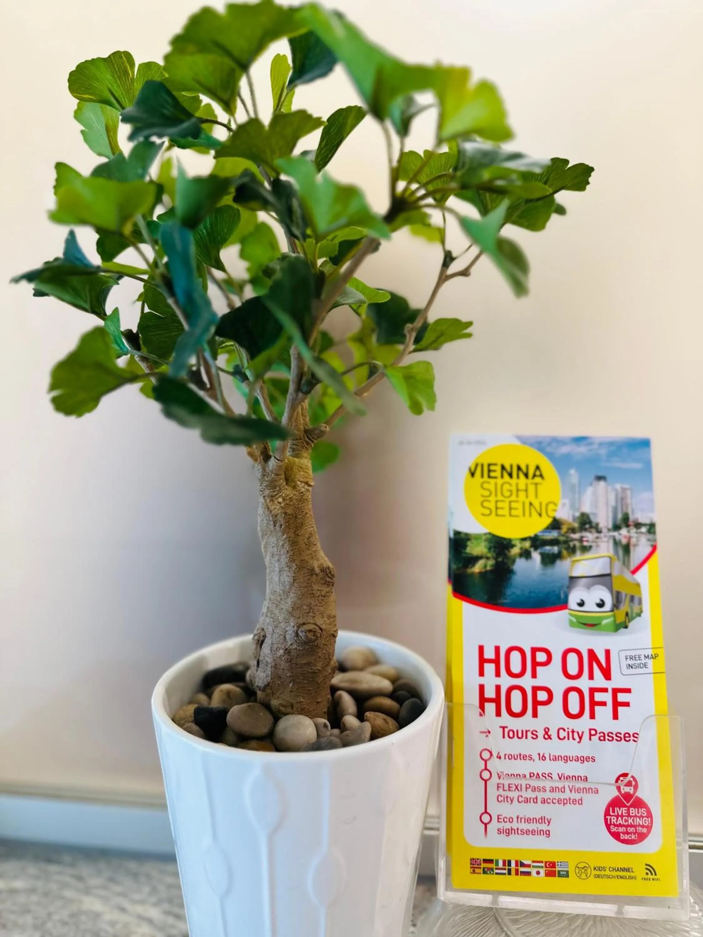 Lobby or reception in Pension Liechtenstein