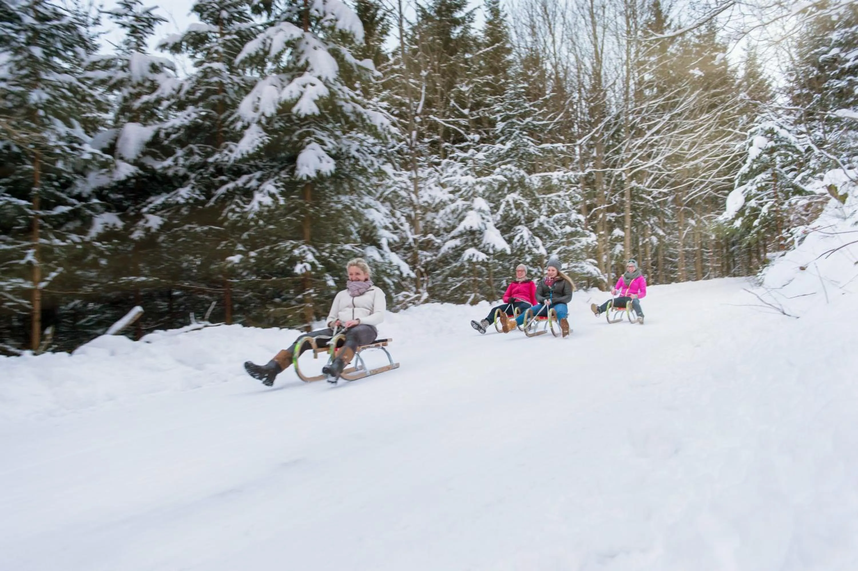 Sports in Post am See, Traunsee - 4 Stern Superior