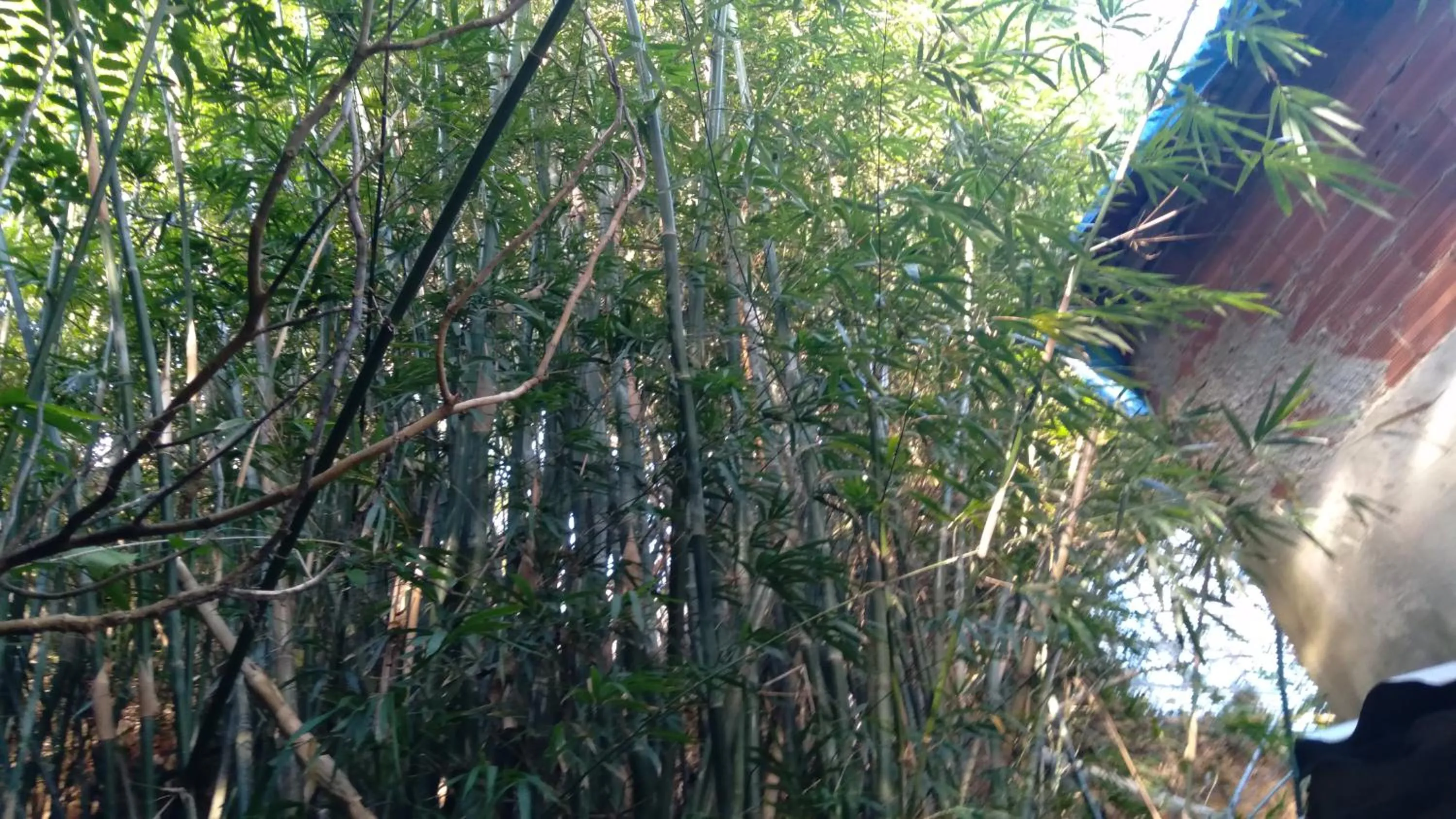 Barra da Tijuca Guest Houses