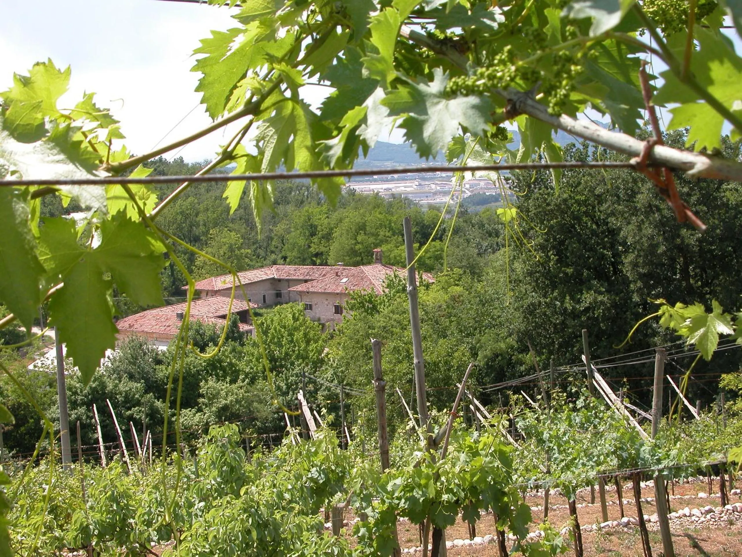 Agriturismo Ca' Verde