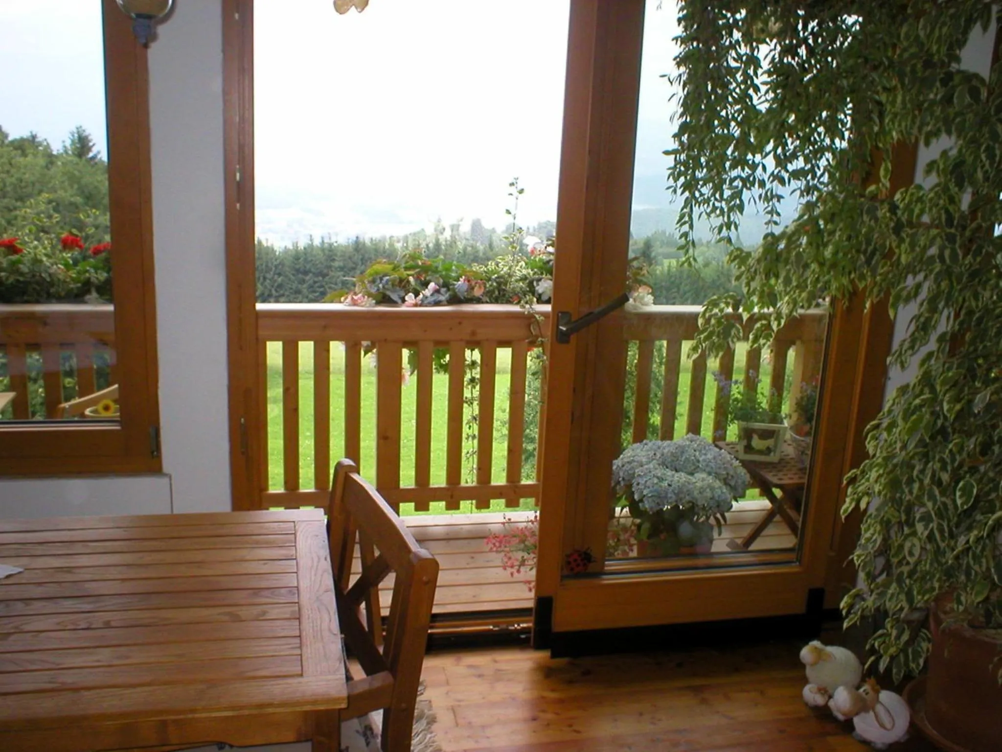 Balcony/Terrace in Hotel Baumgartnerhof