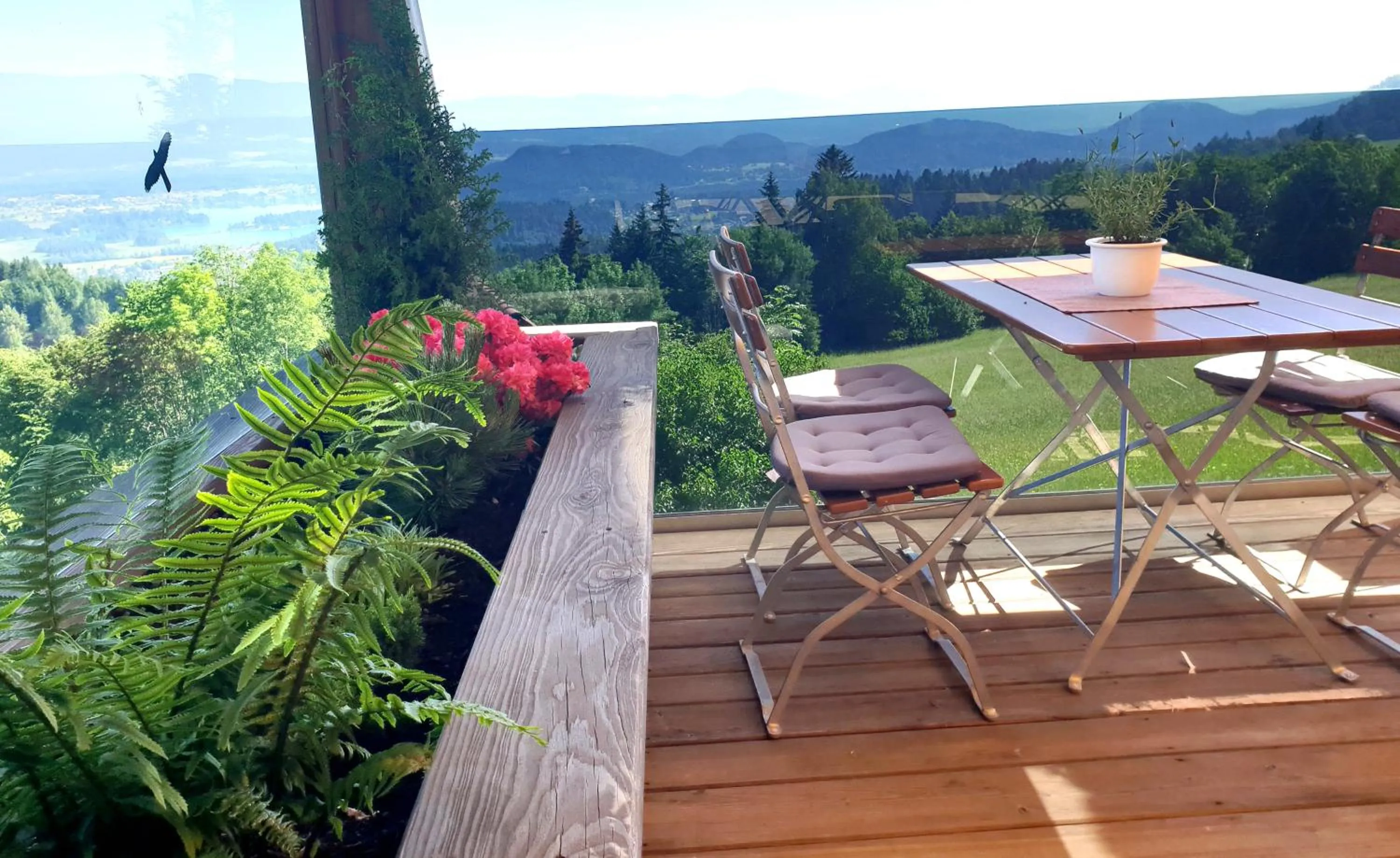 View (from property/room) in Hotel Baumgartnerhof