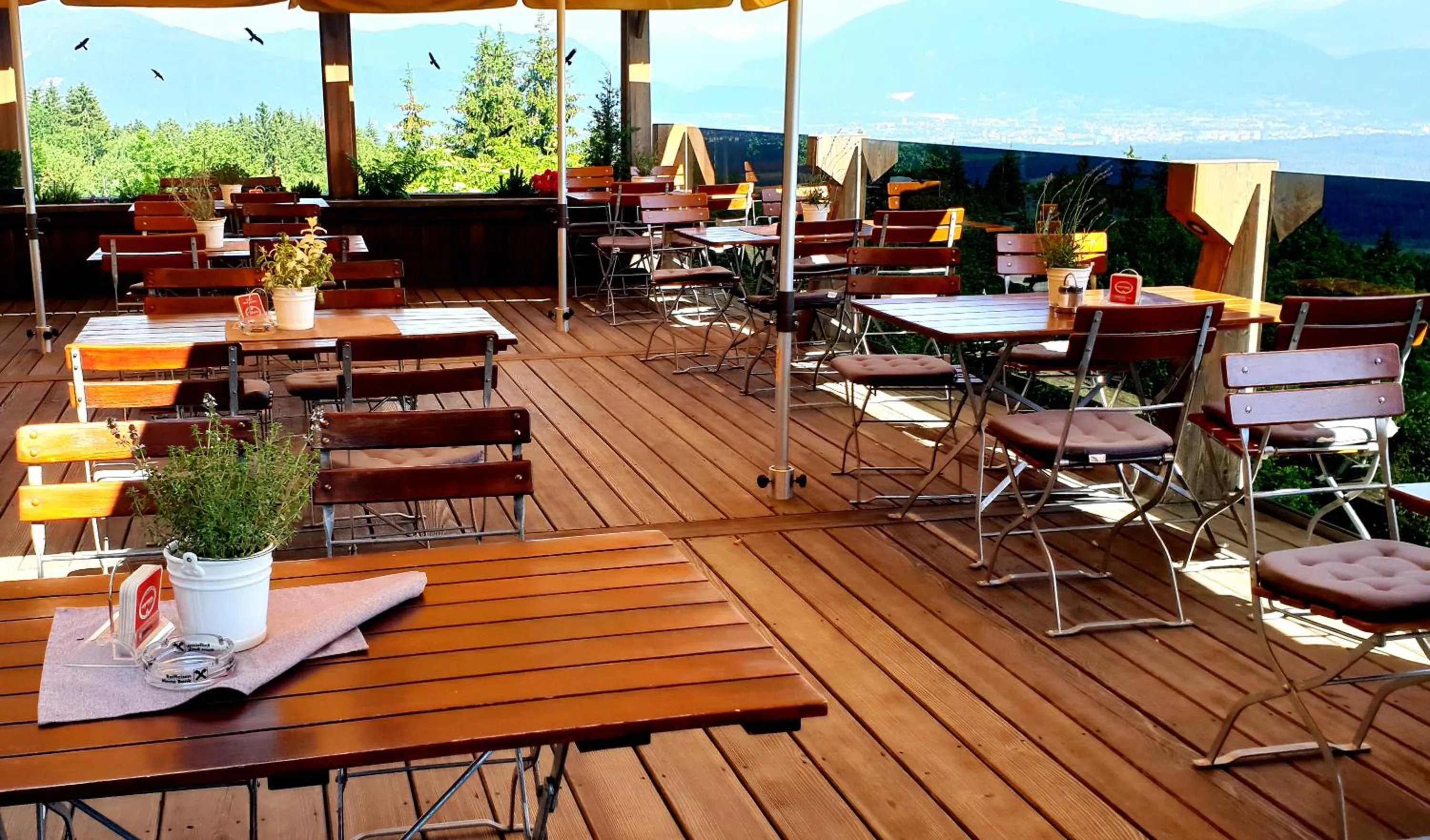 Restaurant/places to eat in Hotel Baumgartnerhof