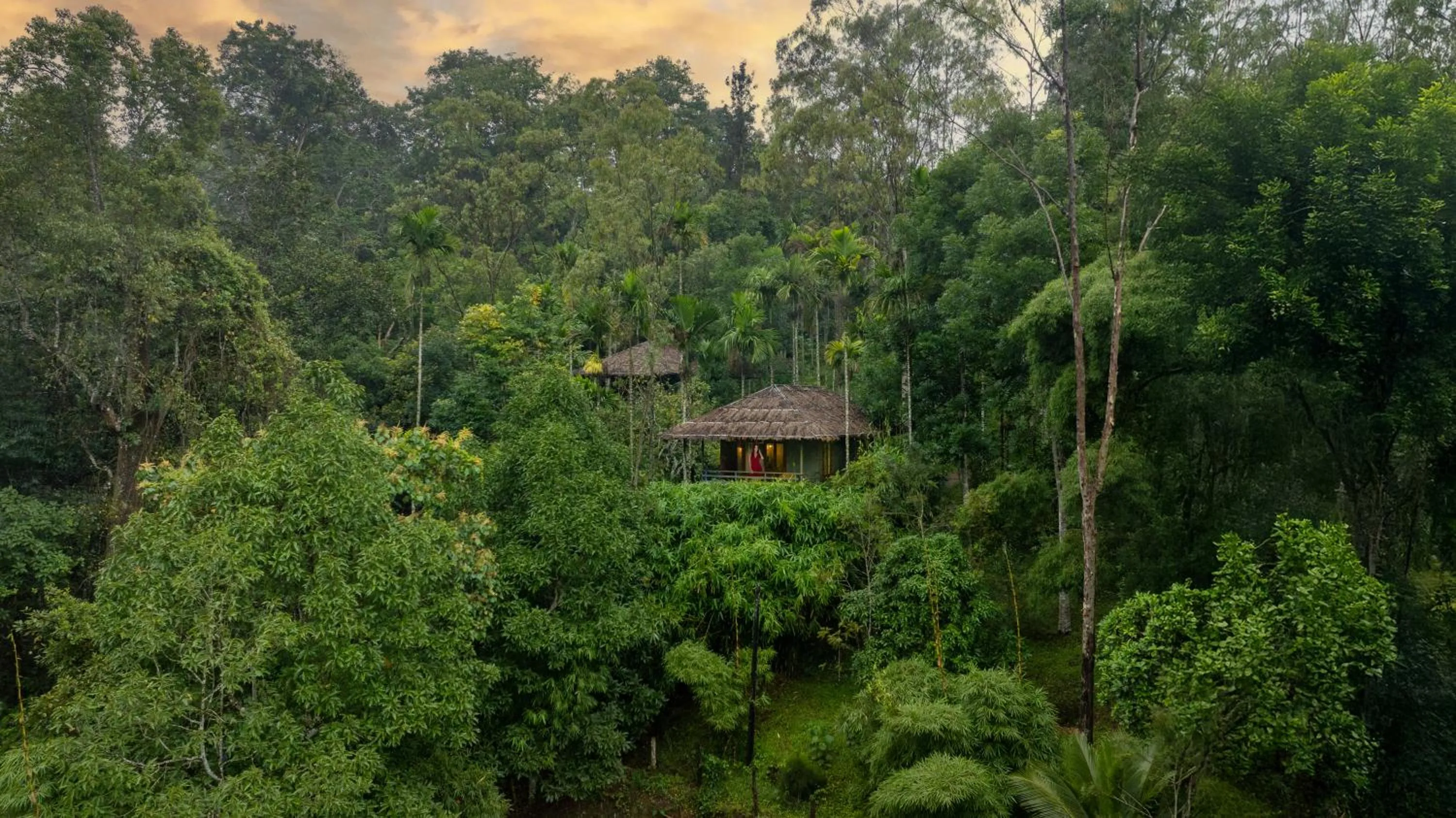 Bird's eye view in The Woods Resorts Wayanad