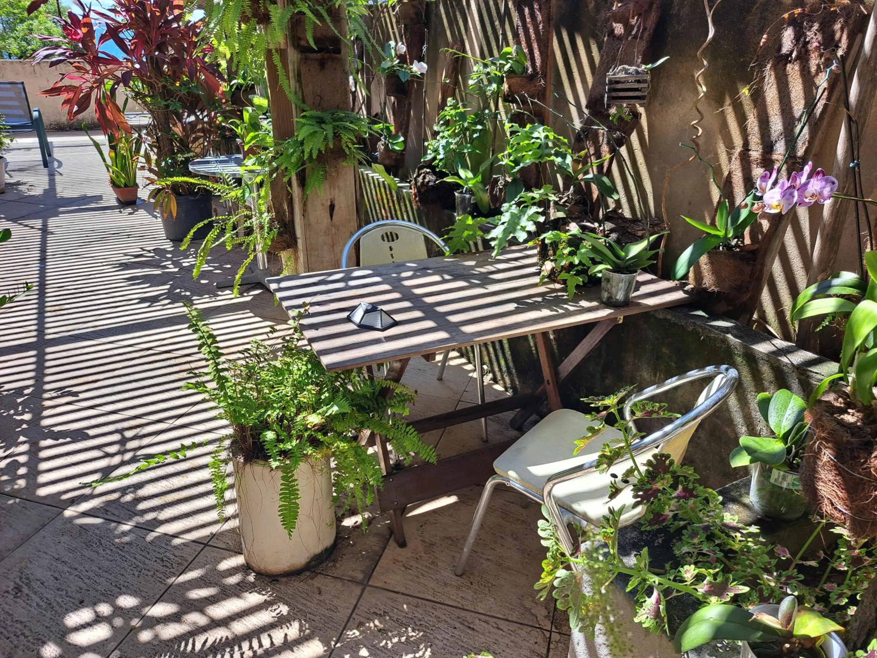 Garden in Beach Front Village