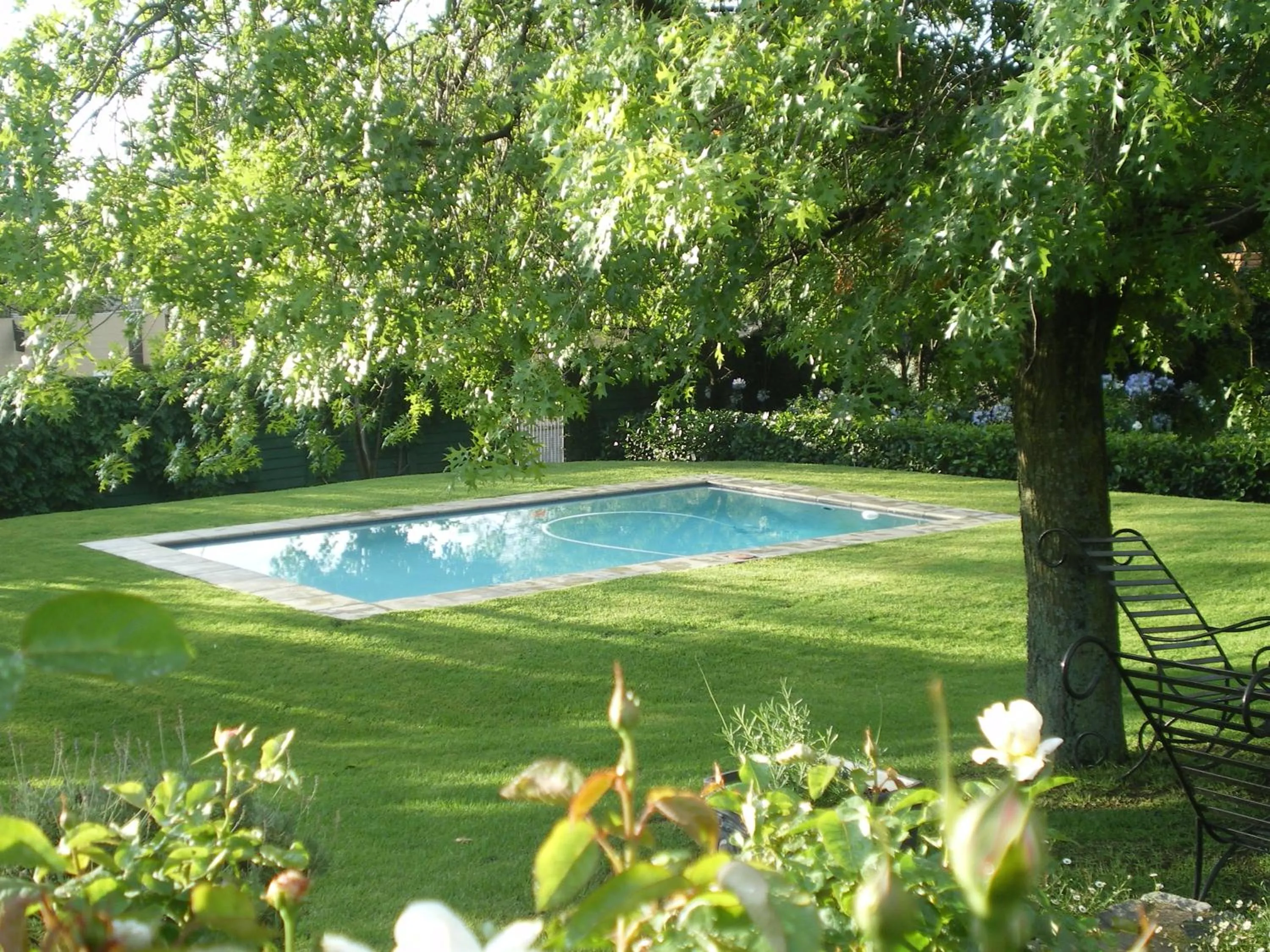 Garden in Burkleigh House