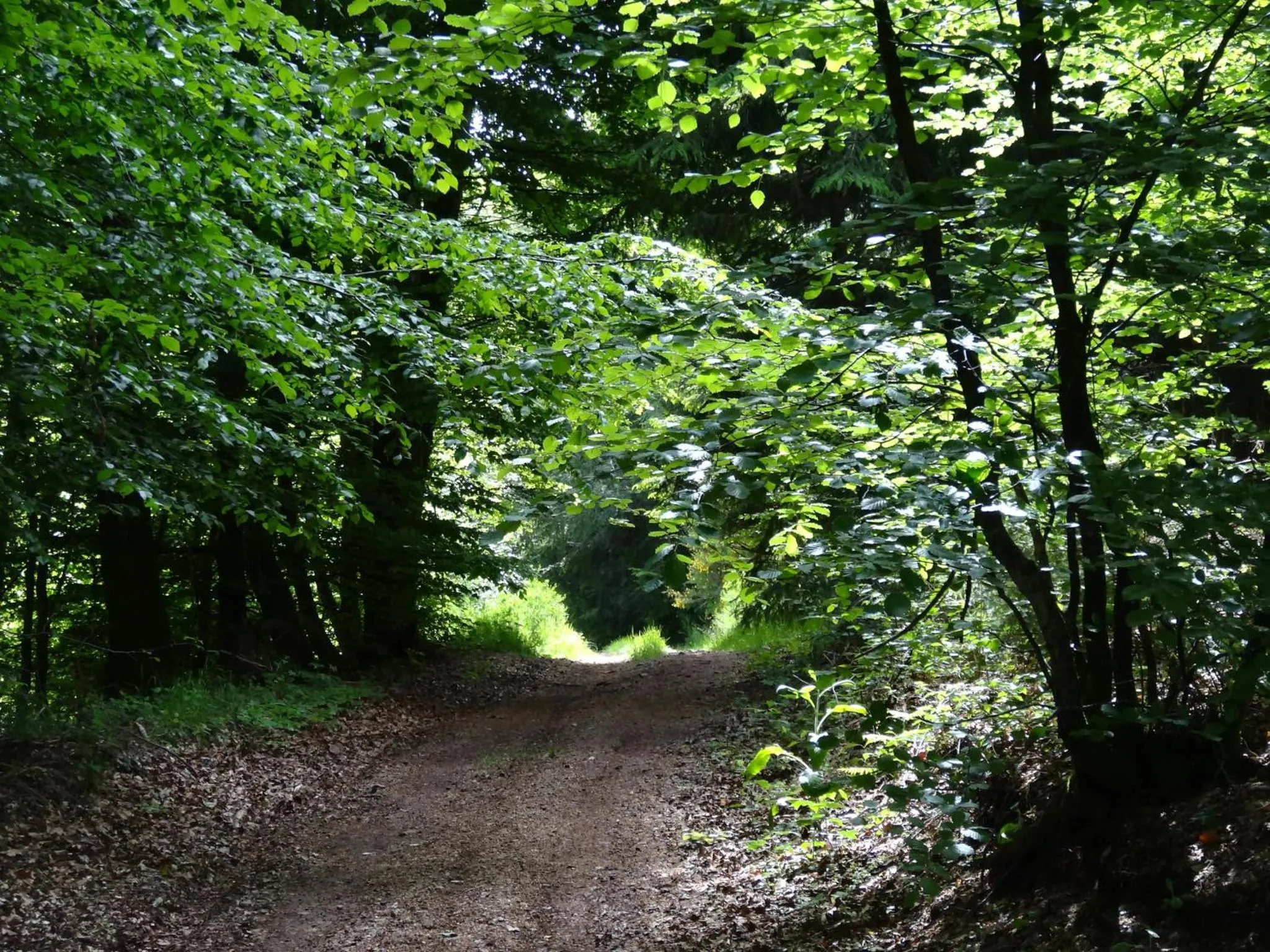 Hiking in Hôtel l'Annexe