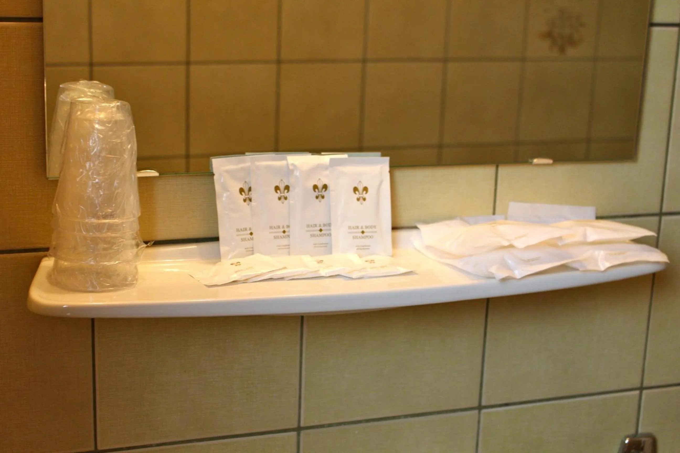 Shower in Gasthof Ölberg