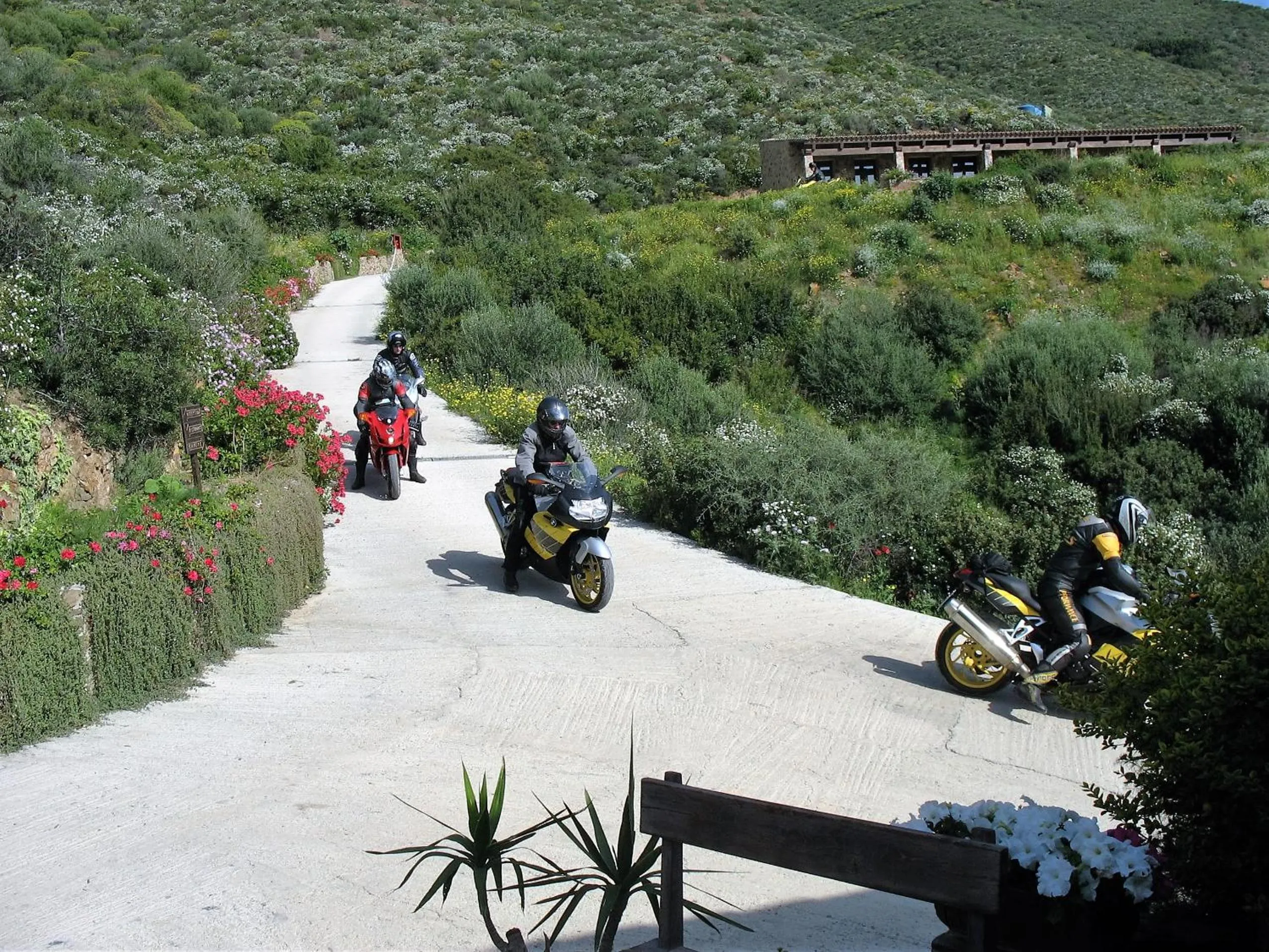 Garden in Hotel Sardus Pater