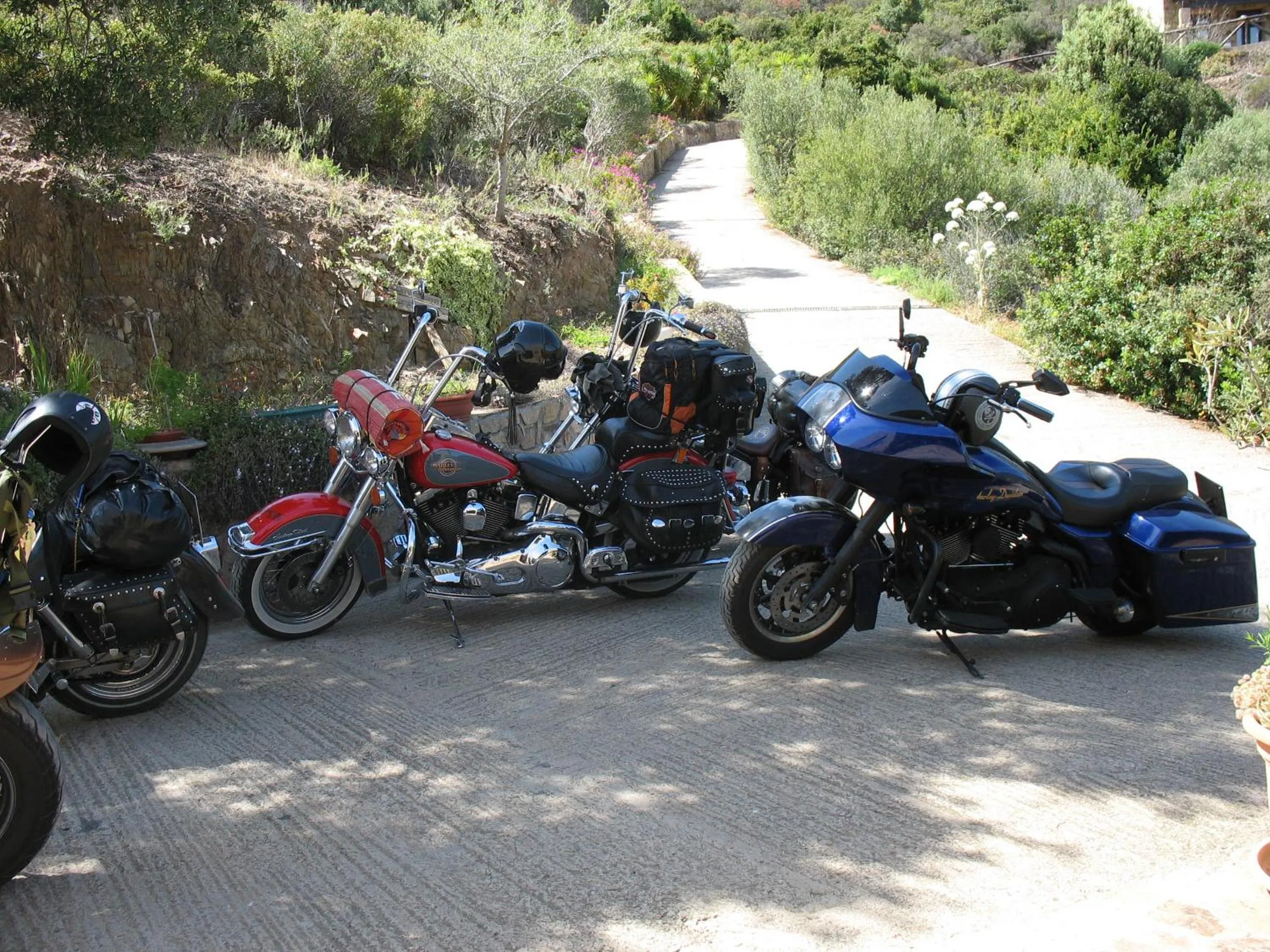 group of guests in Hotel Sardus Pater
